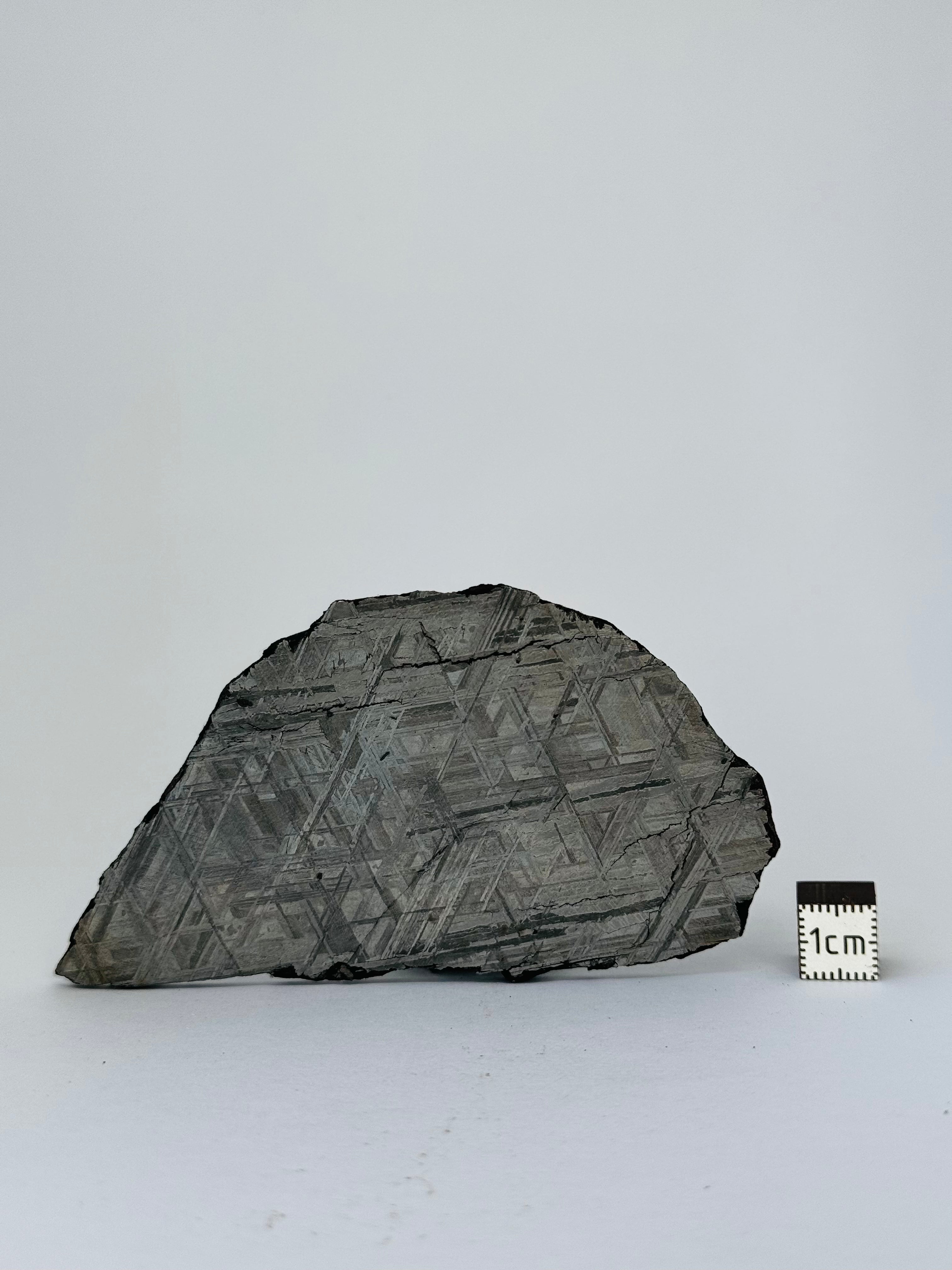 Muonionalusta Meteorite, Sweden. 88,12 grams slice.