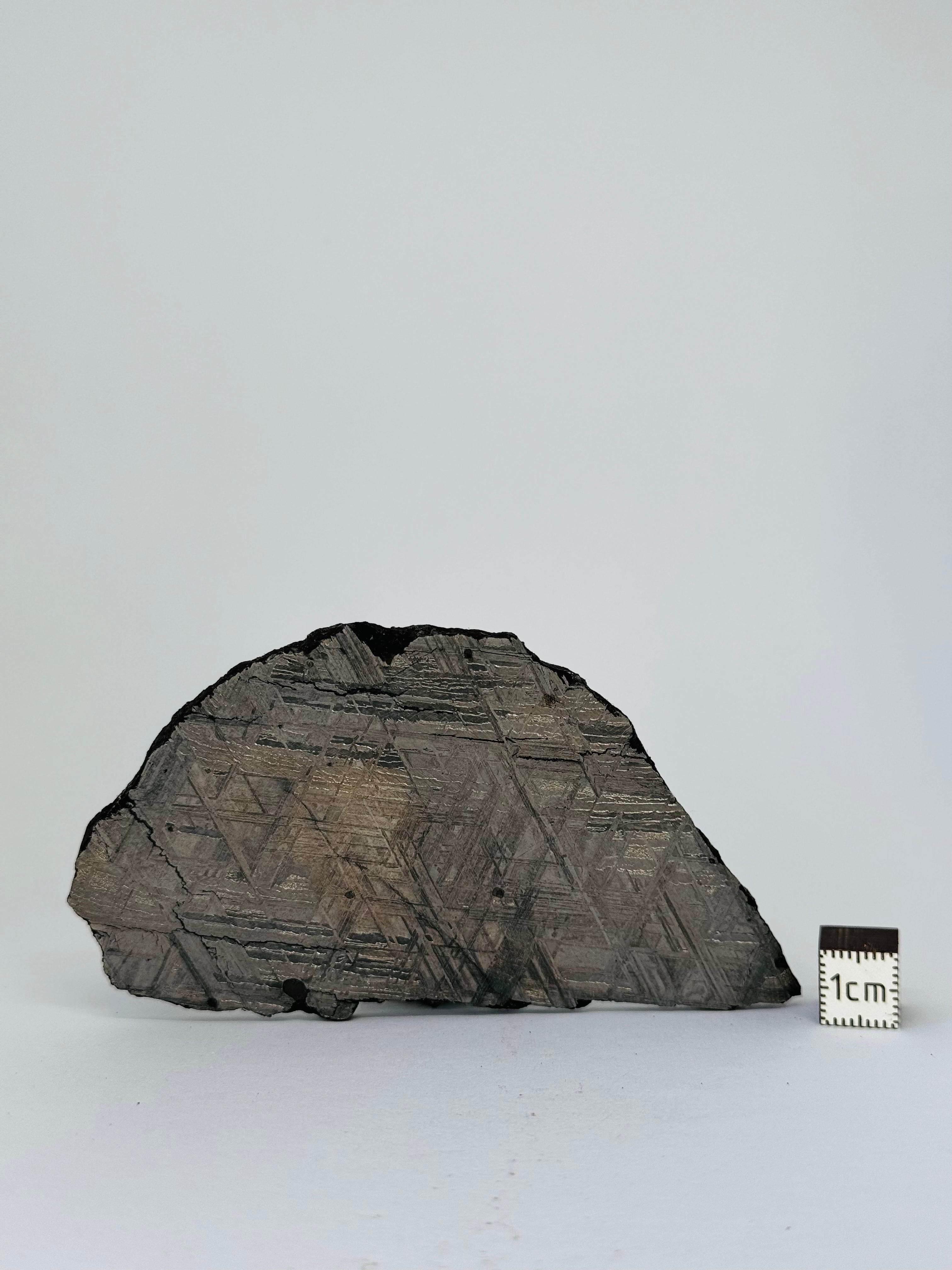 Muonionalusta Meteorite, Sweden. 88,12 grams slice.