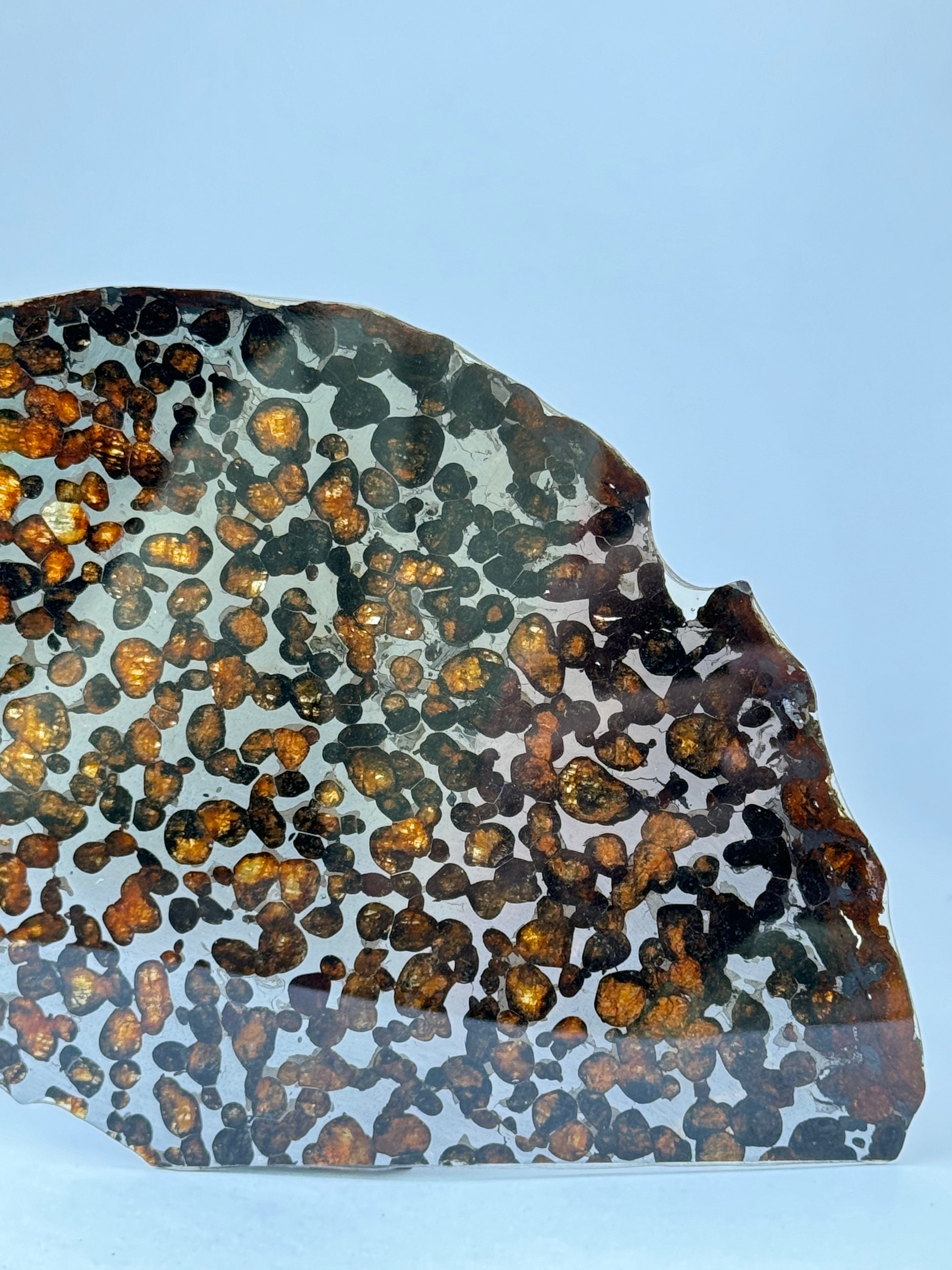 Sericho meteorite, Kenya. 87,90 grams.