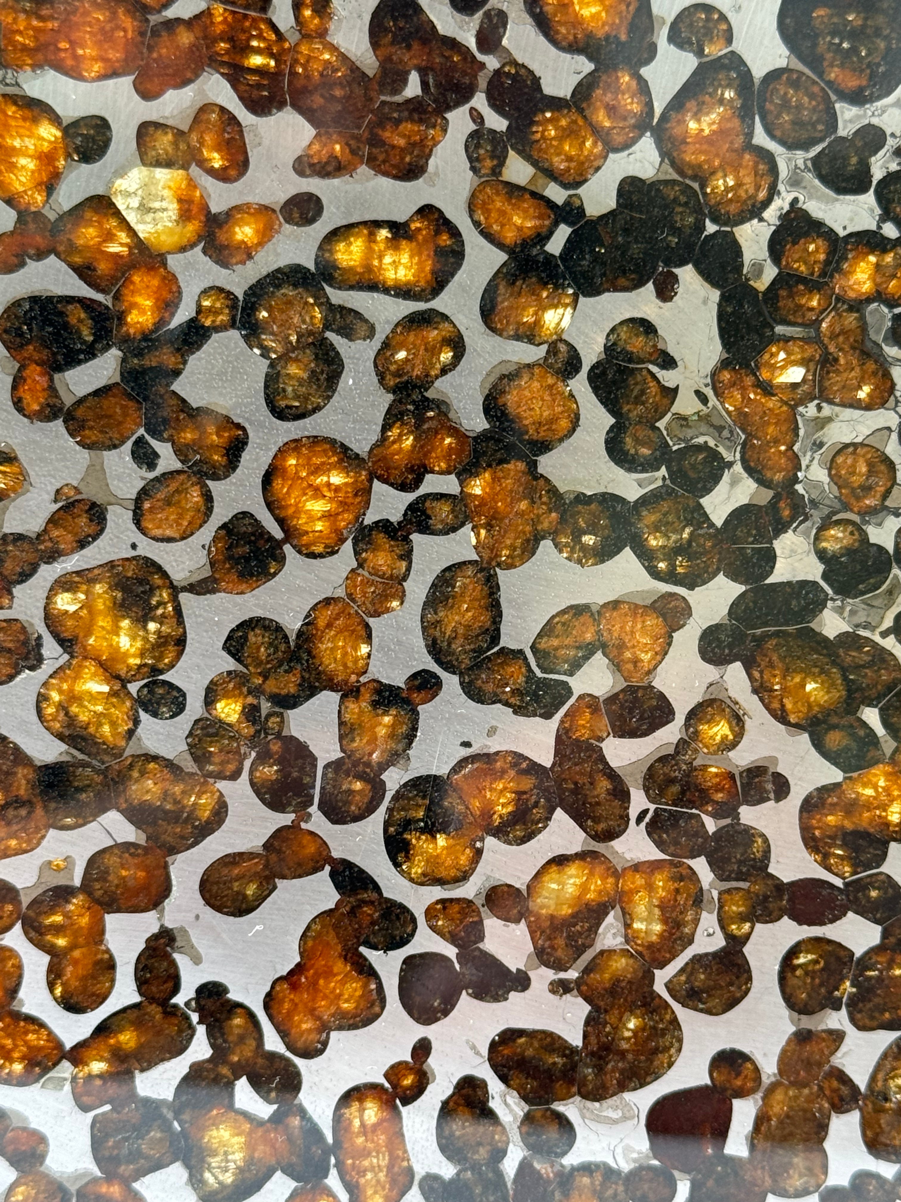 Sericho meteorite, Kenya. 87,90 grams.