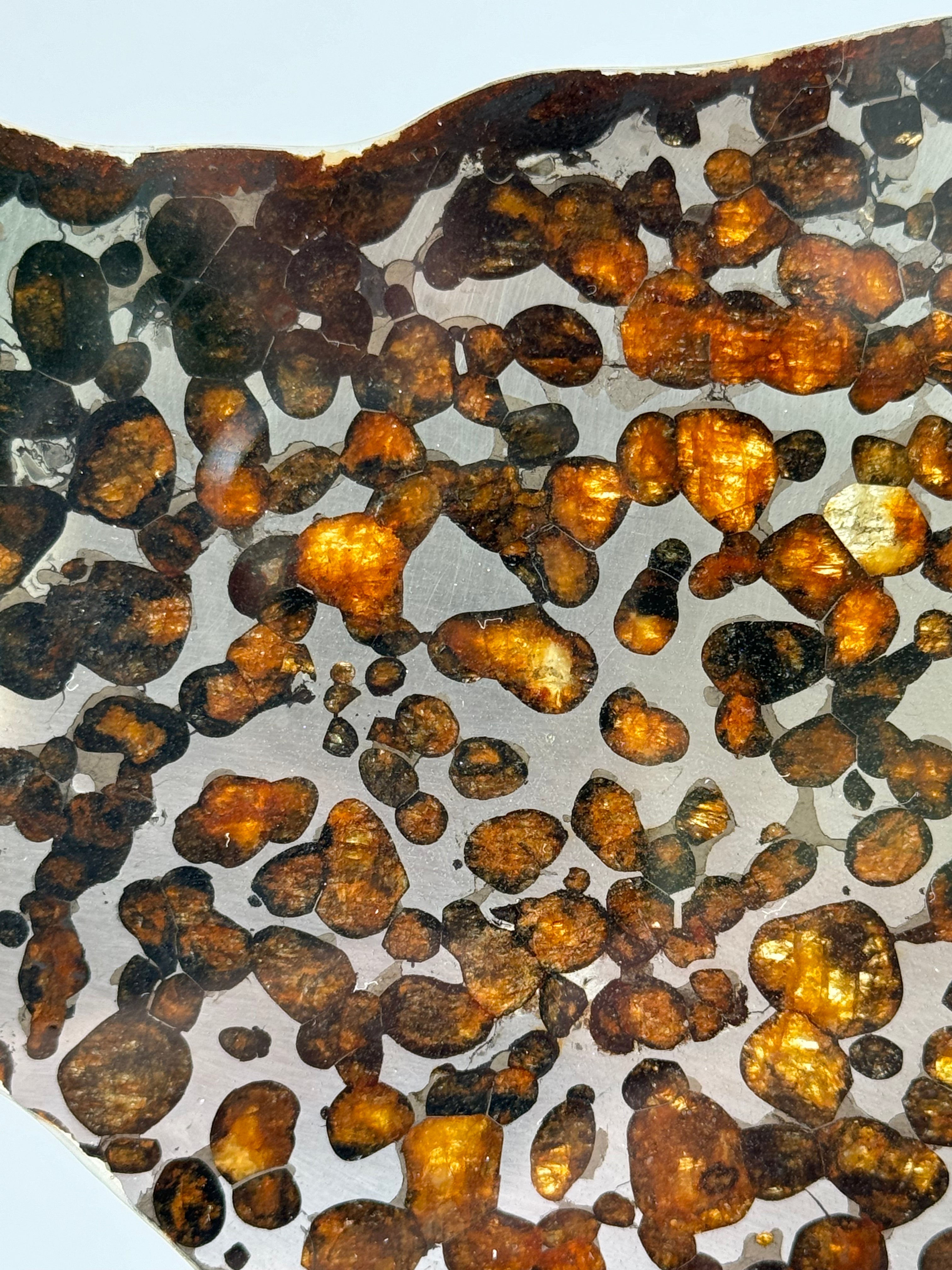 Sericho meteorite, Kenya. 87,90 grams.