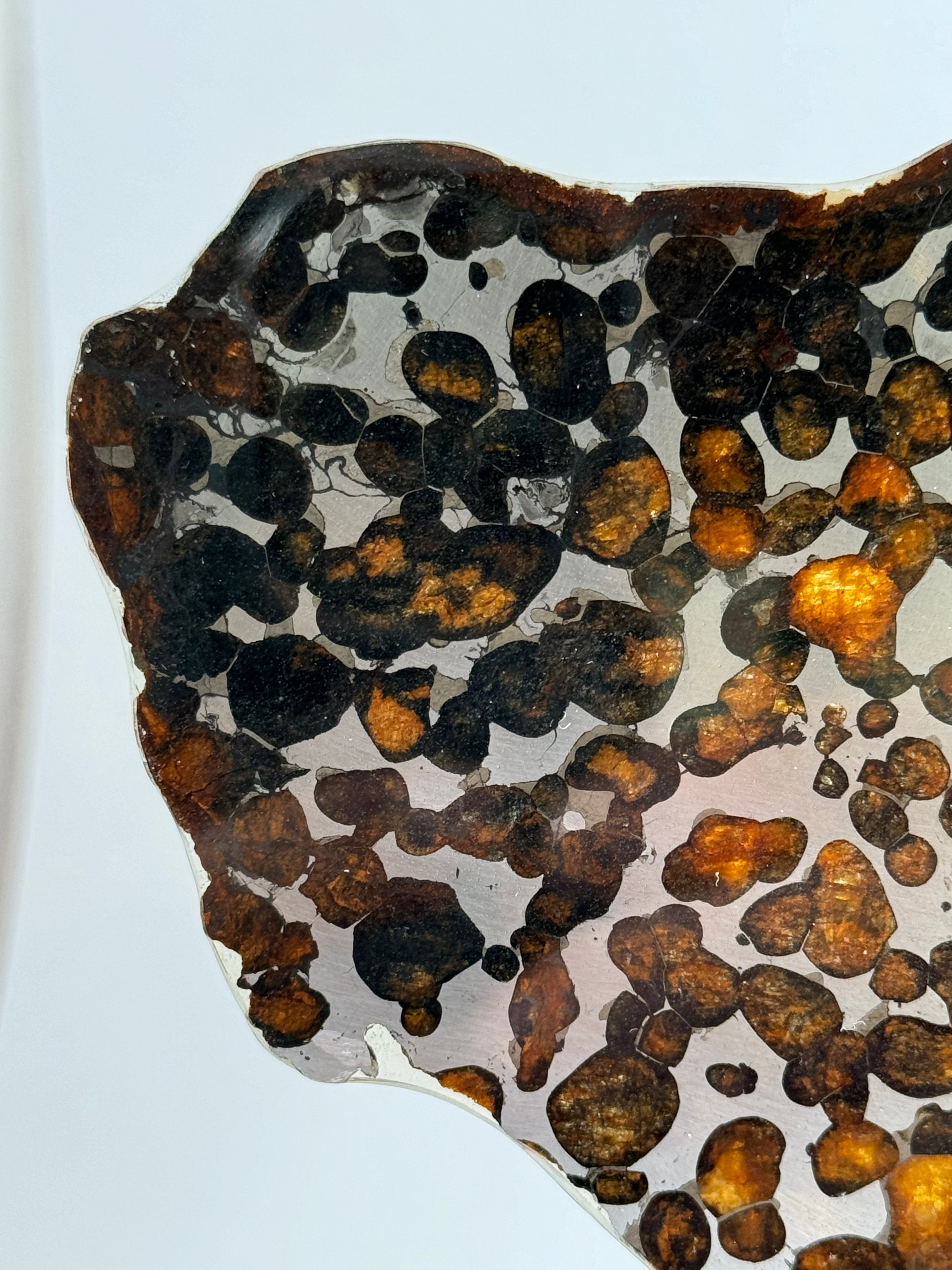 Sericho meteorite, Kenya. 87,90 grams.