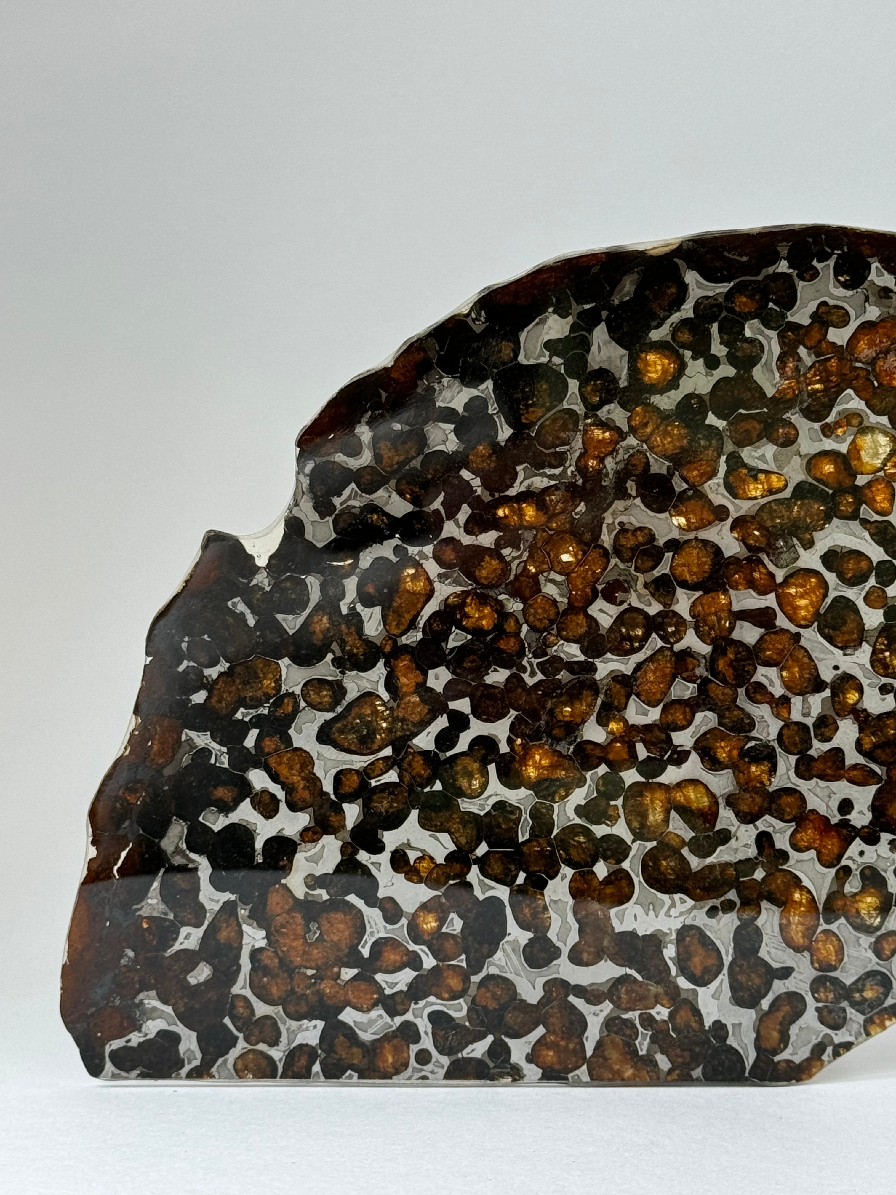 Sericho meteorite, Kenya. 87,90 grams.