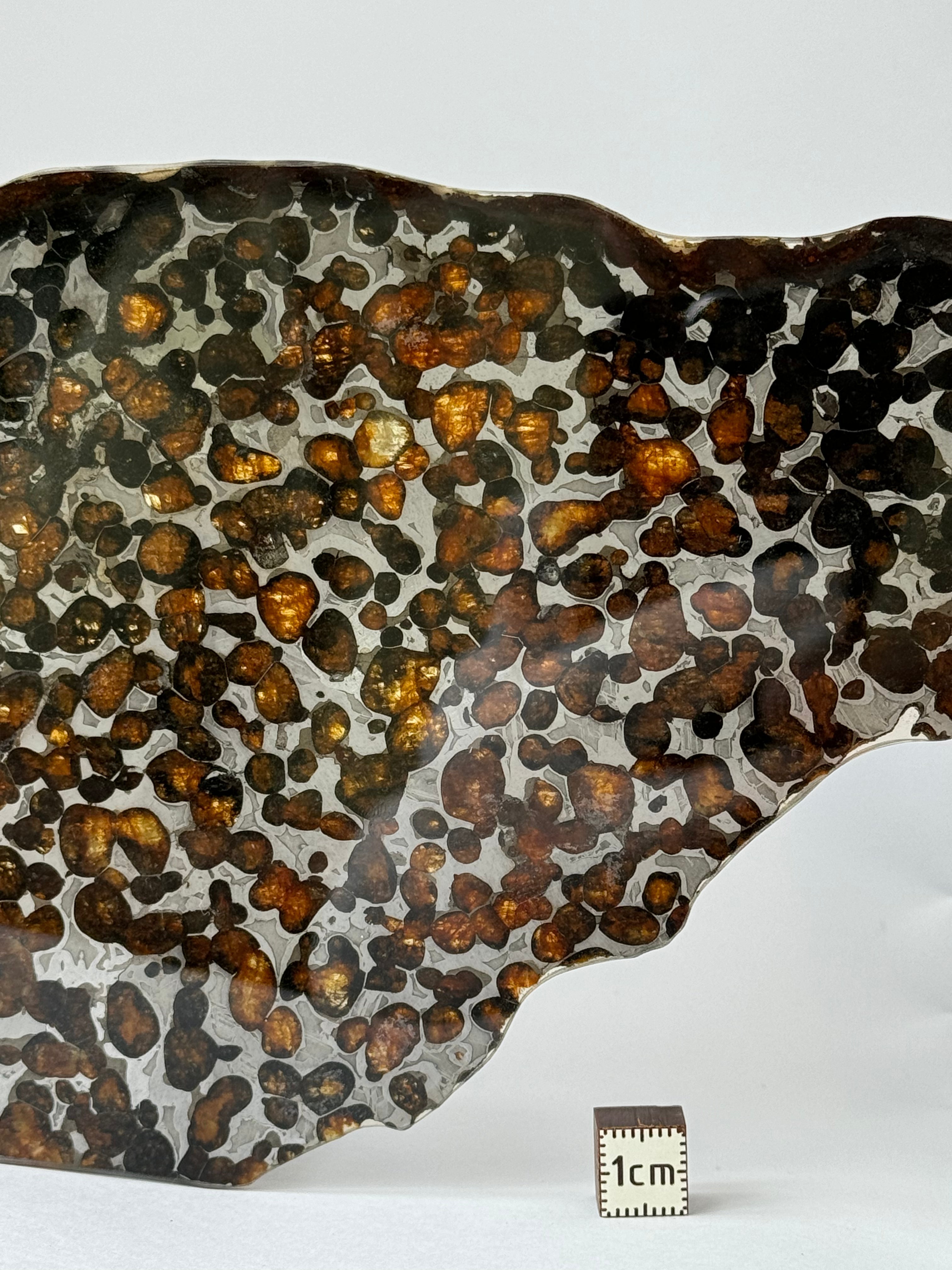 Sericho meteorite, Kenya. 87,90 grams.