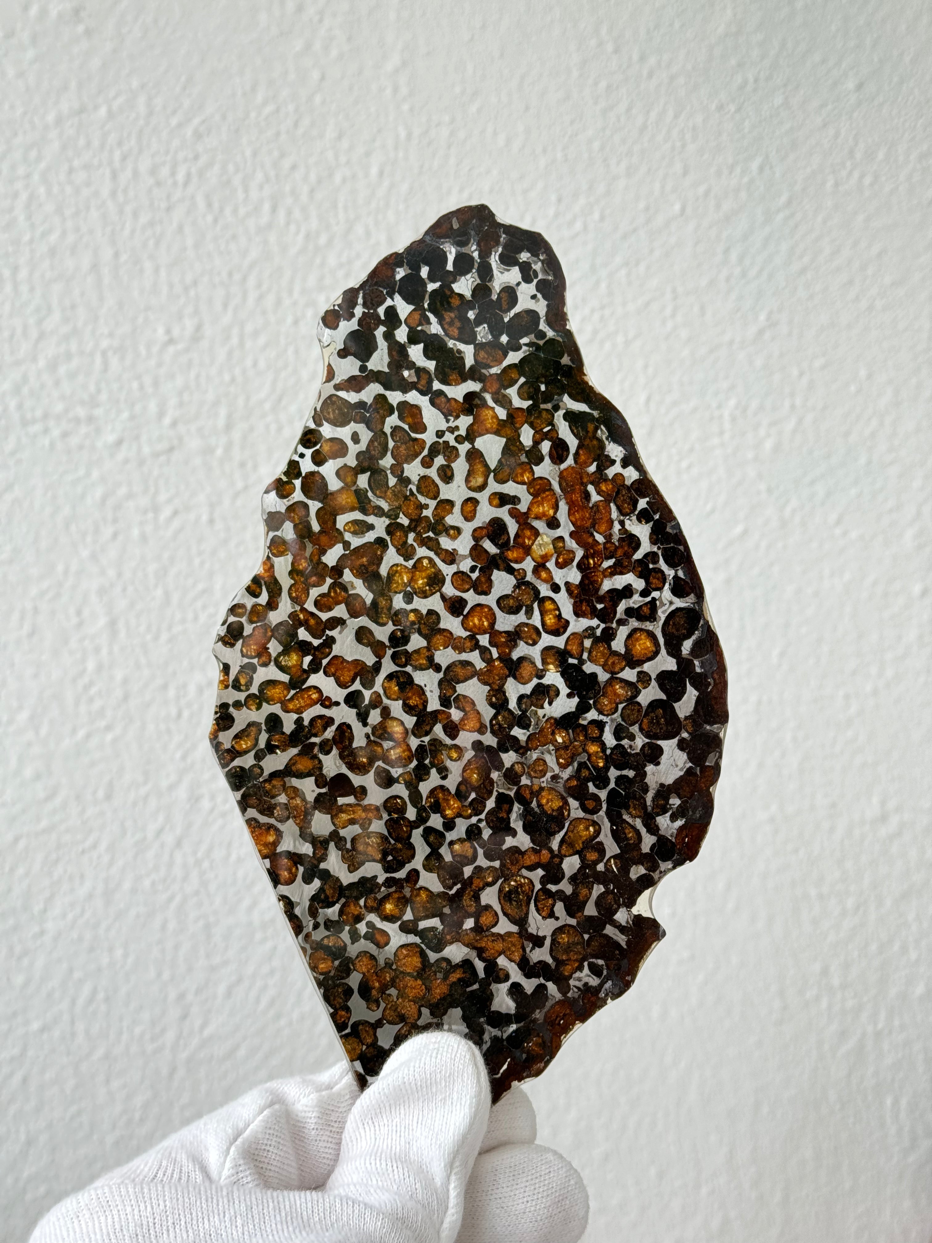 Sericho meteorite, Kenya. 87,90 grams.