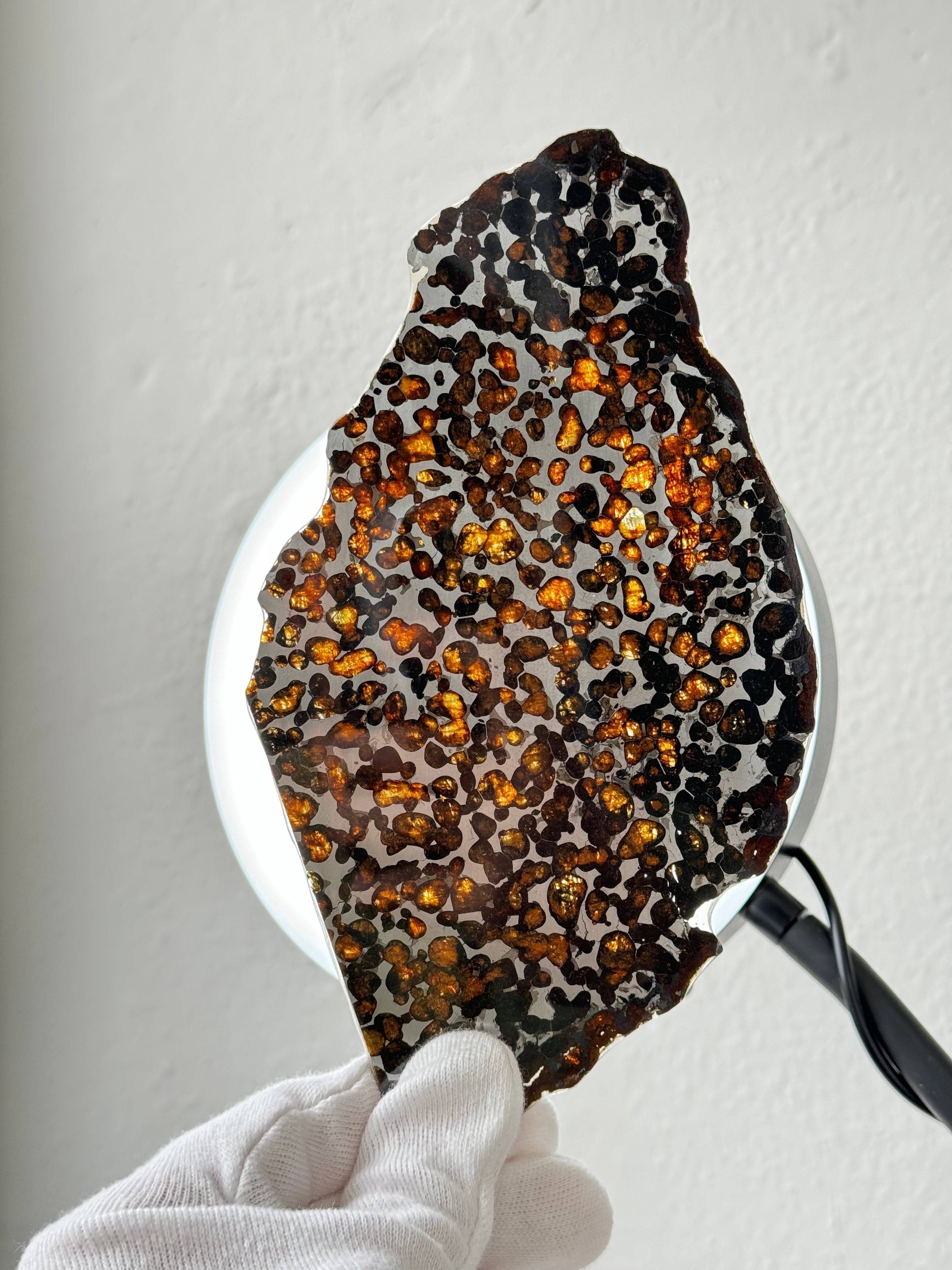 Sericho meteorite, Kenya. 87,90 grams.