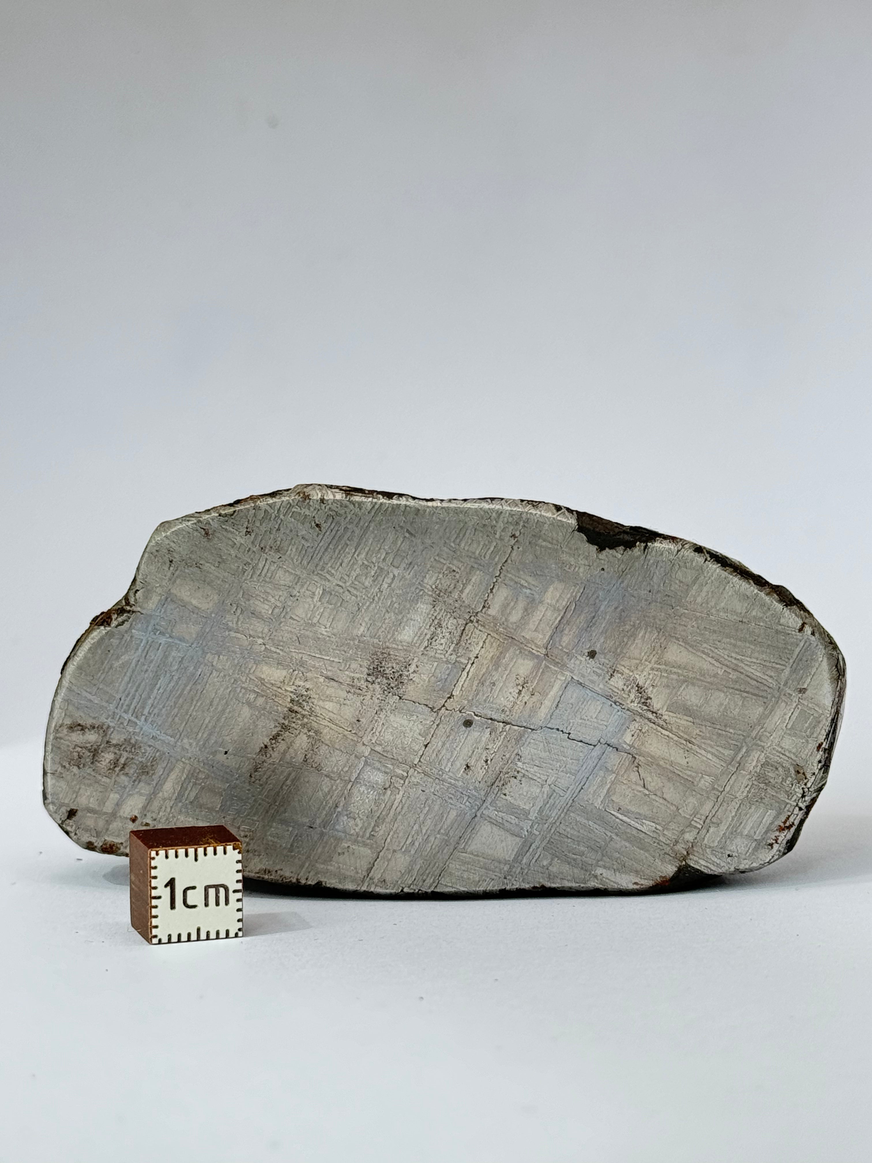 Muonionalusta meteorite, Sweden. 580g end-cut.
