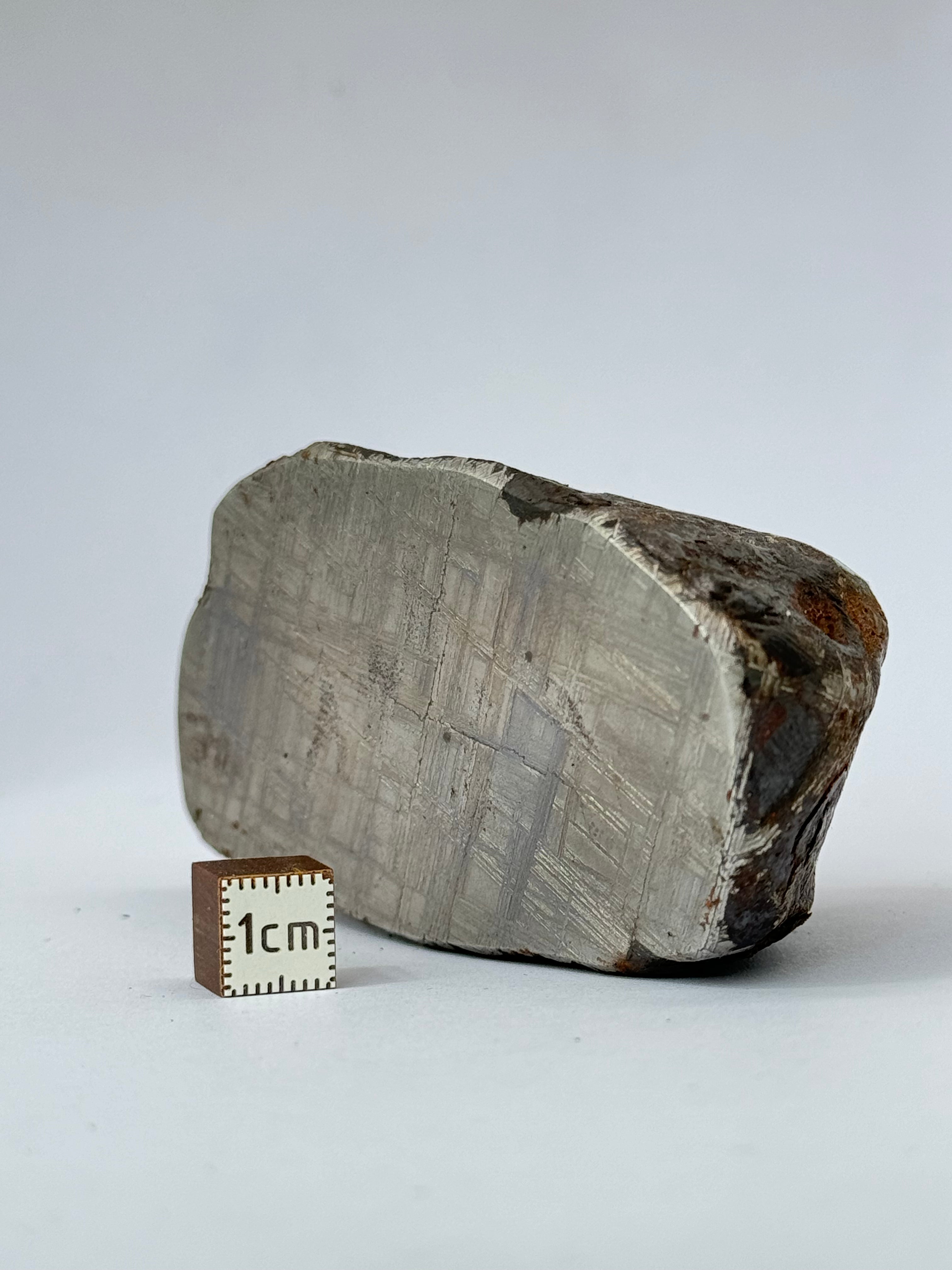 Muonionalusta meteorite, Sweden. 580g end-cut.