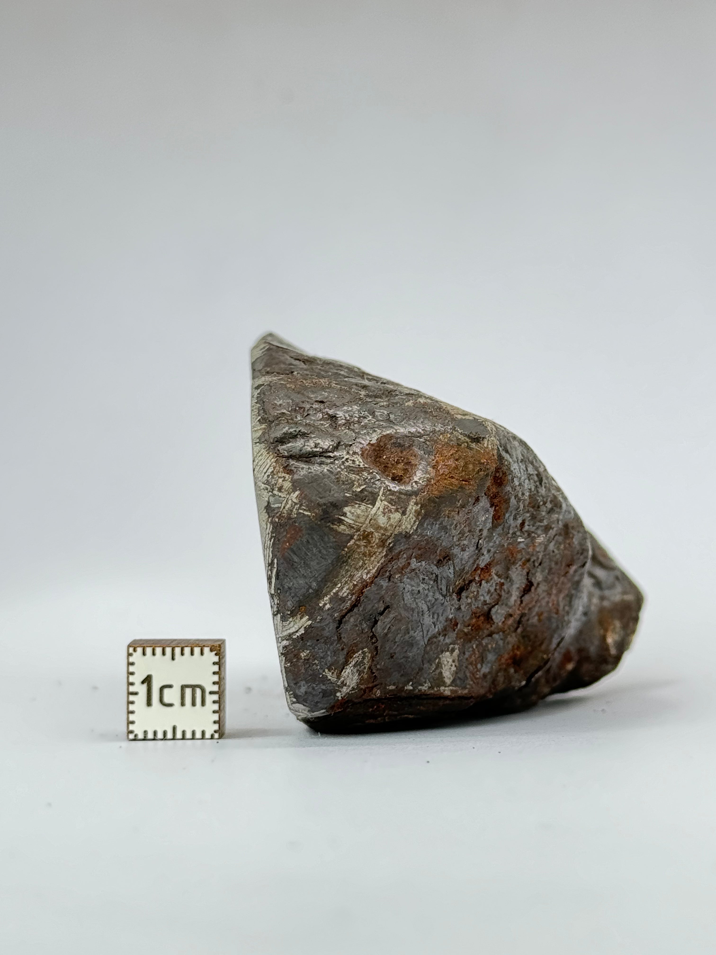 Muonionalusta meteorite, Sweden. 580g end-cut.