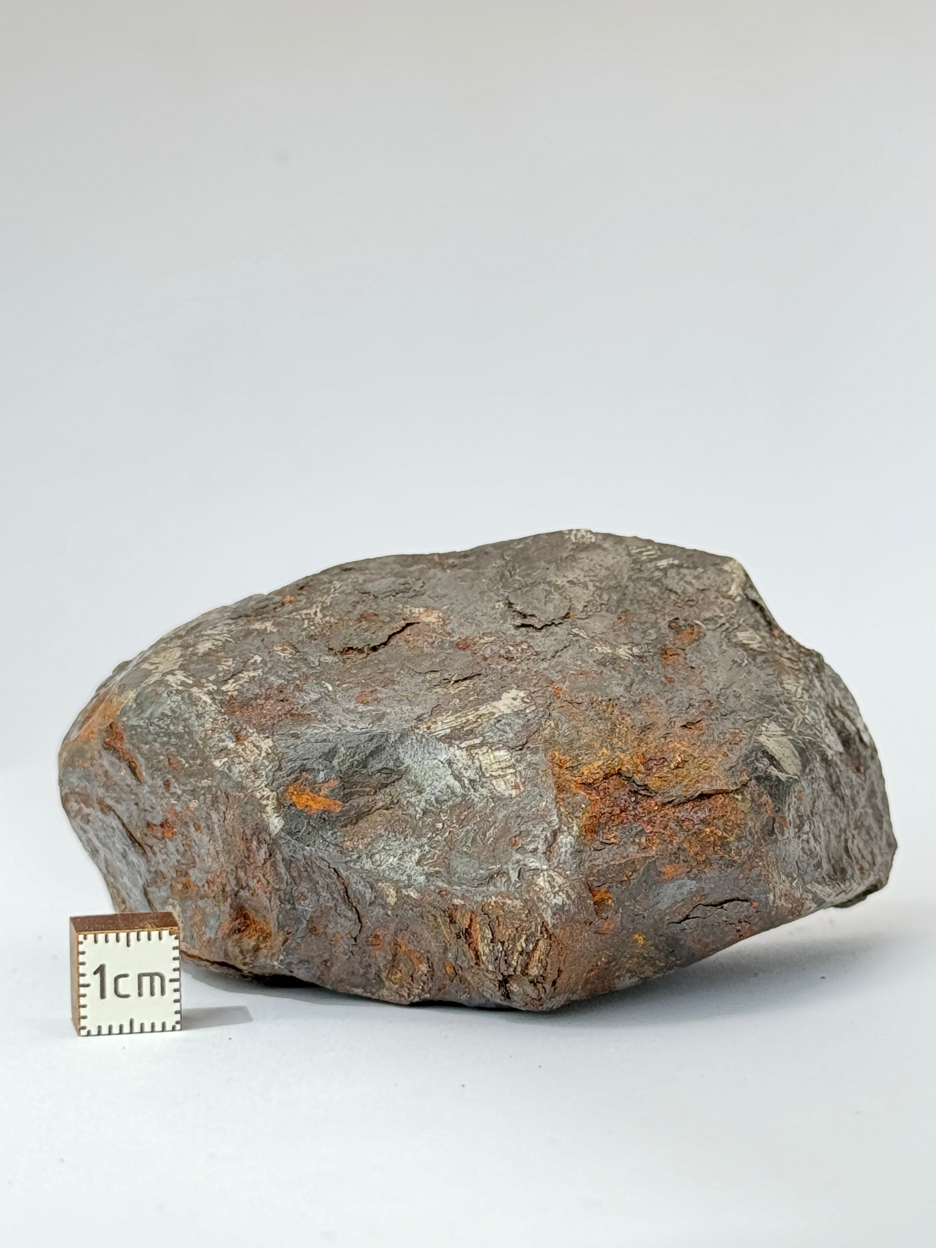 Muonionalusta meteorite, Sweden. 580g end-cut.