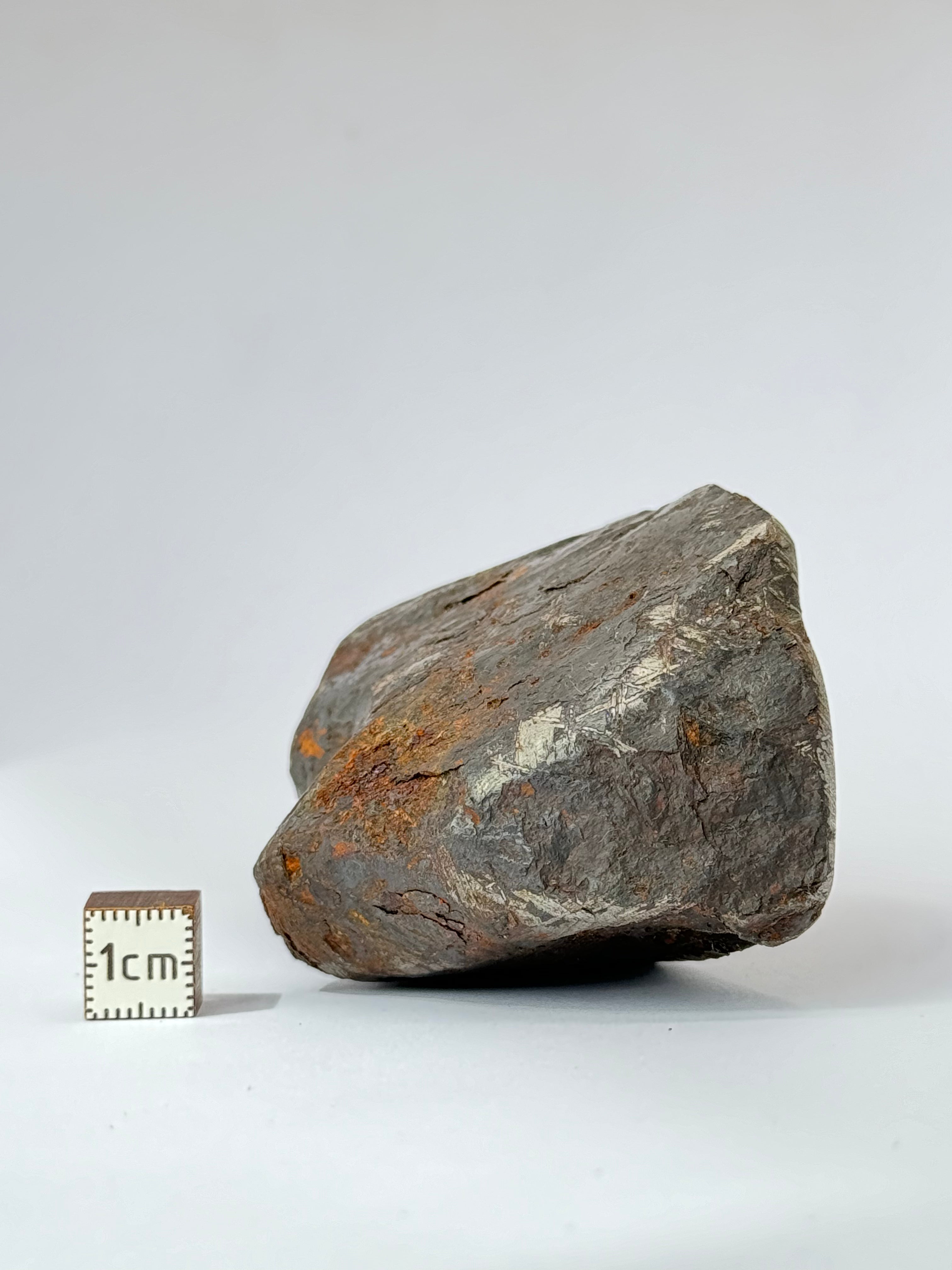 Muonionalusta meteorite, Sweden. 580g end-cut.
