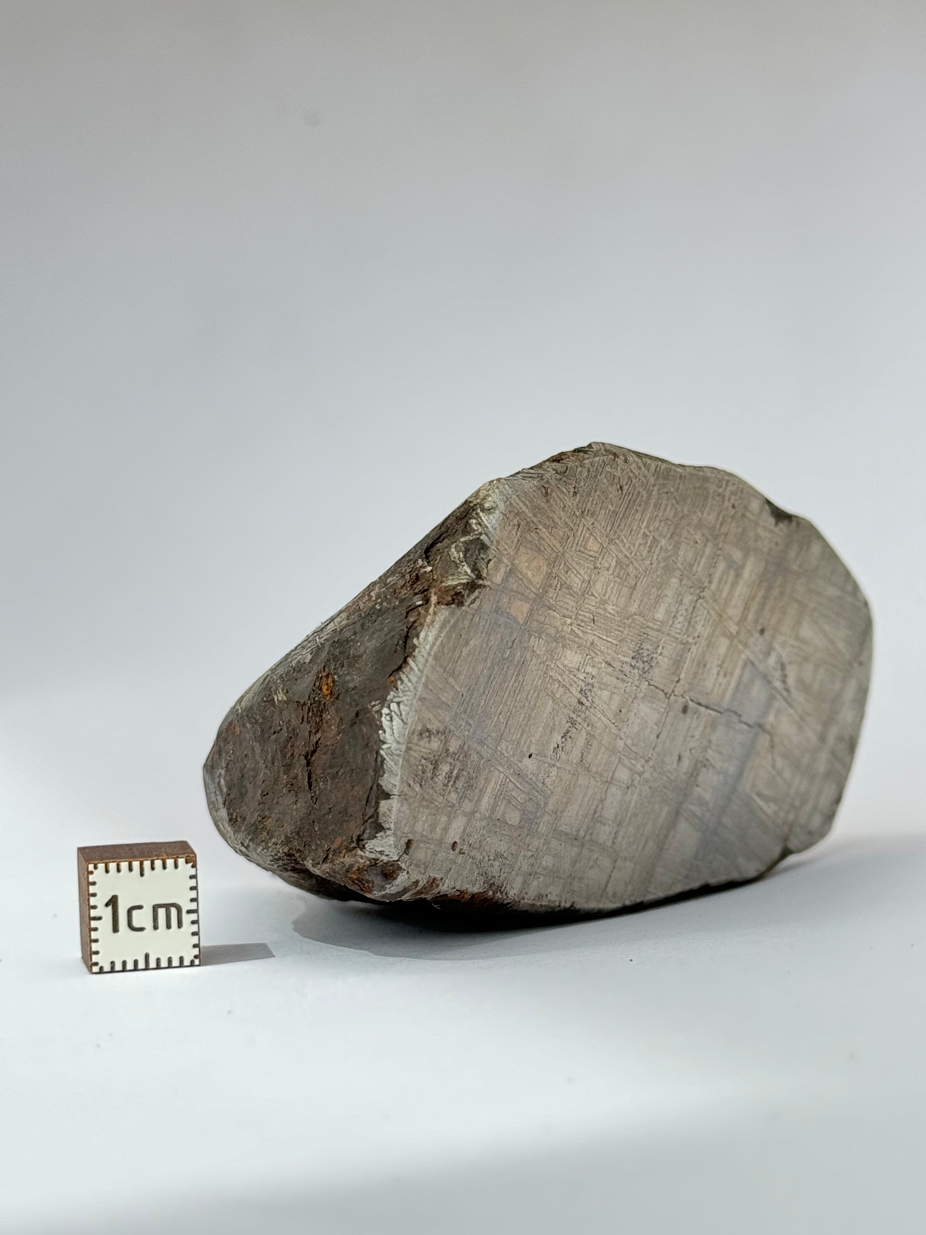 Muonionalusta meteorite, Sweden. 580g end-cut.