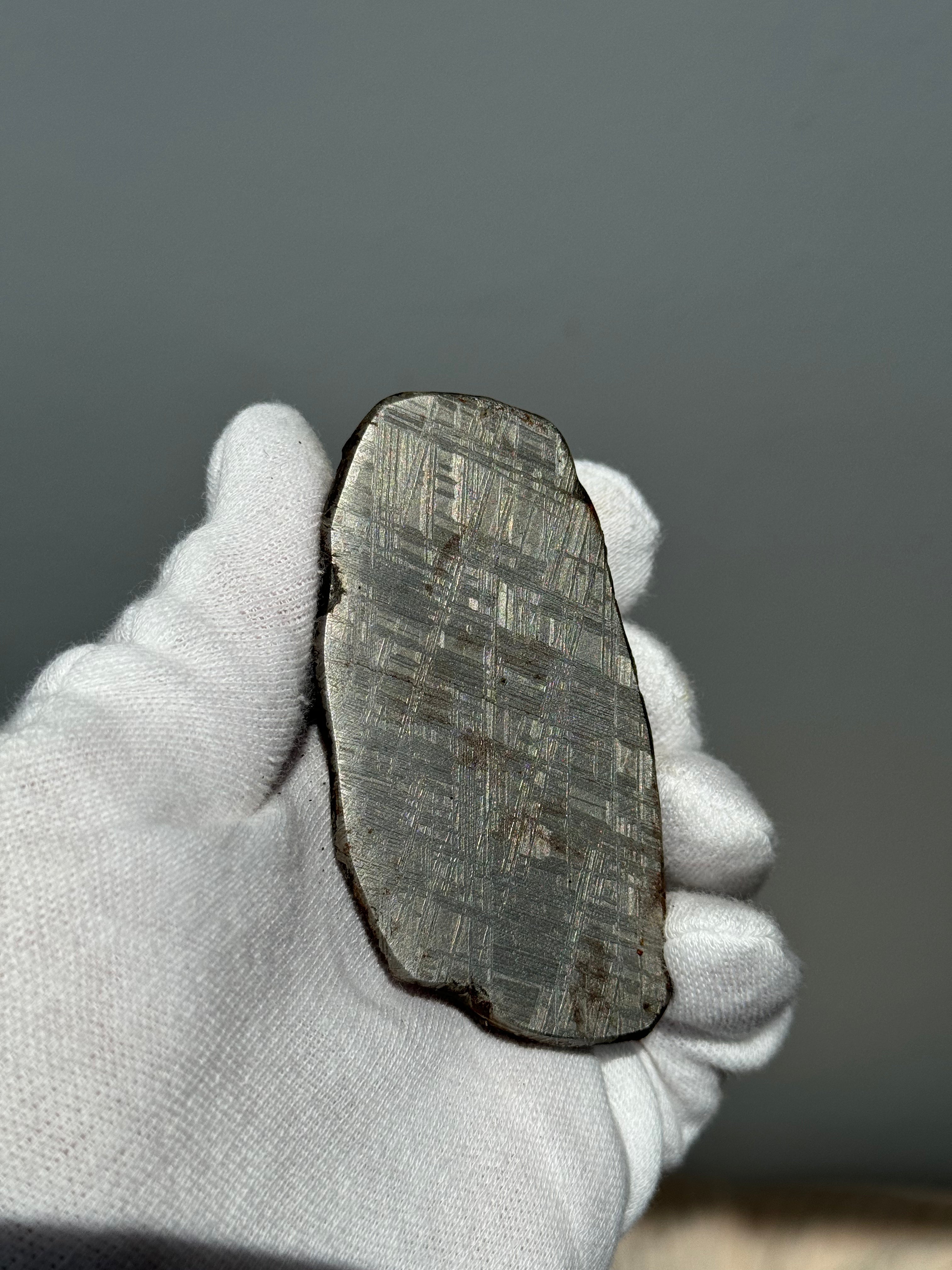 Muonionalusta meteorite, Sweden. 580g end-cut.