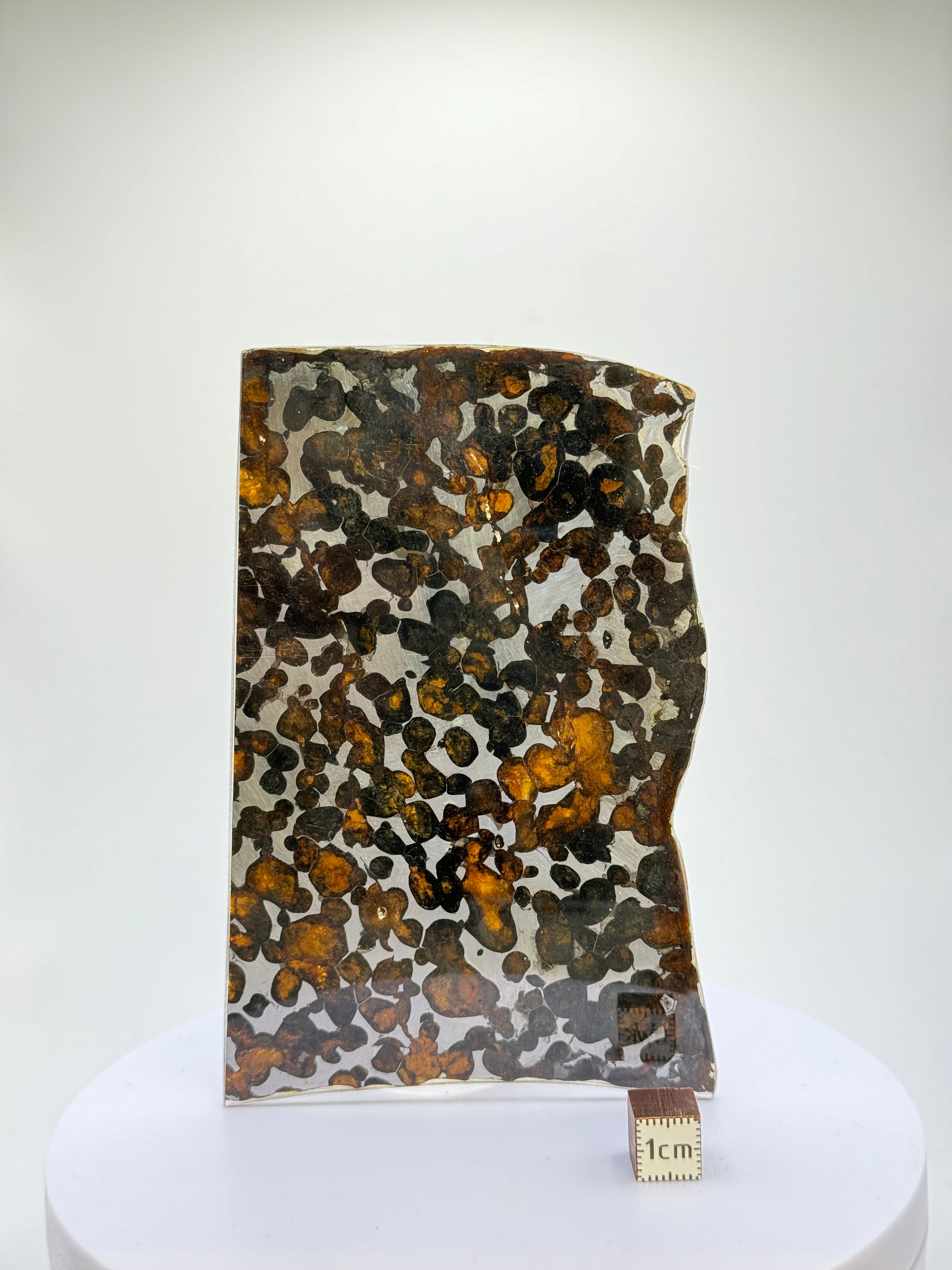 Sericho meteorite, Kenya. 59,46 grams.