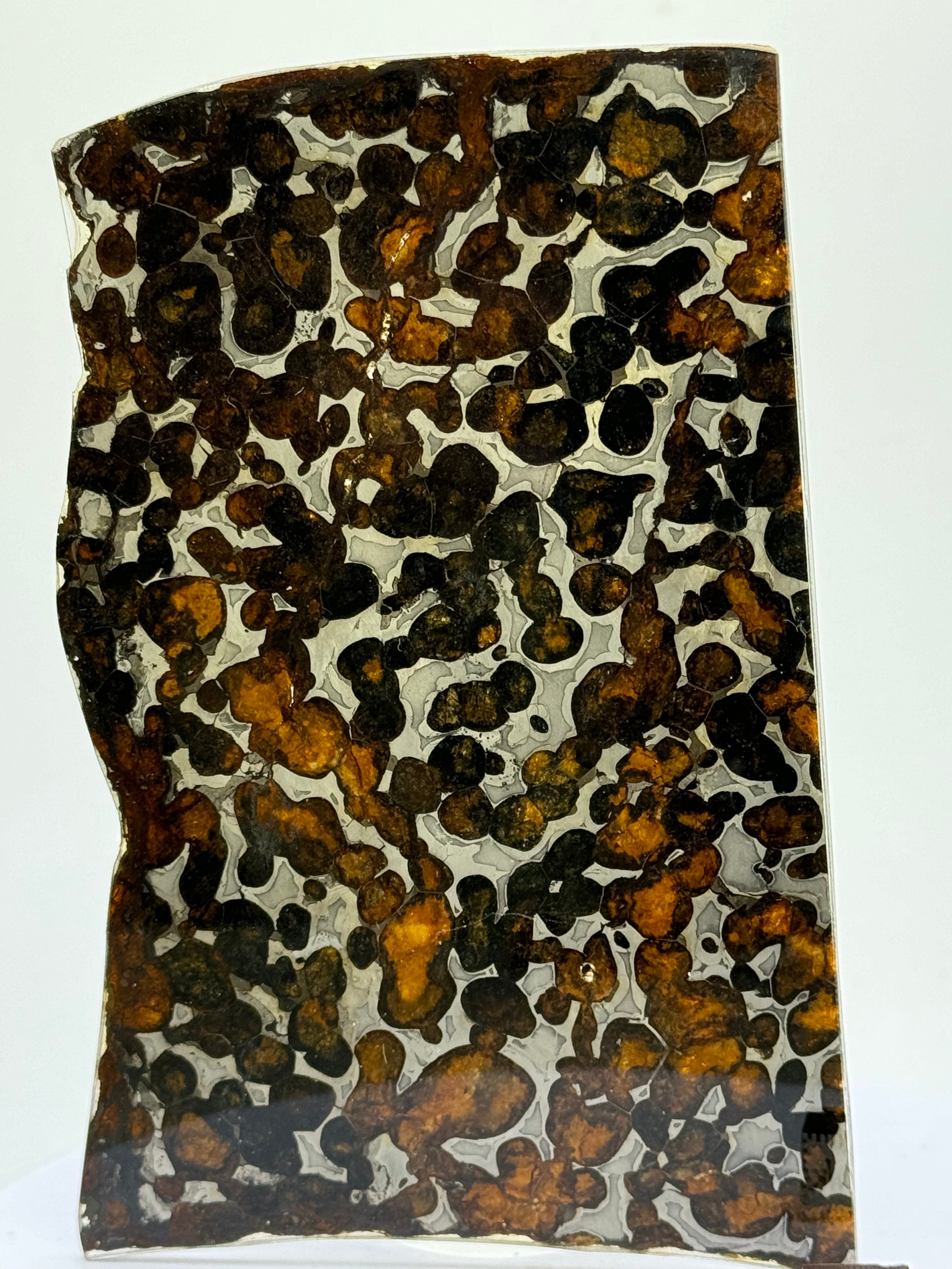 Sericho meteorite, Kenya. 59,46 grams.