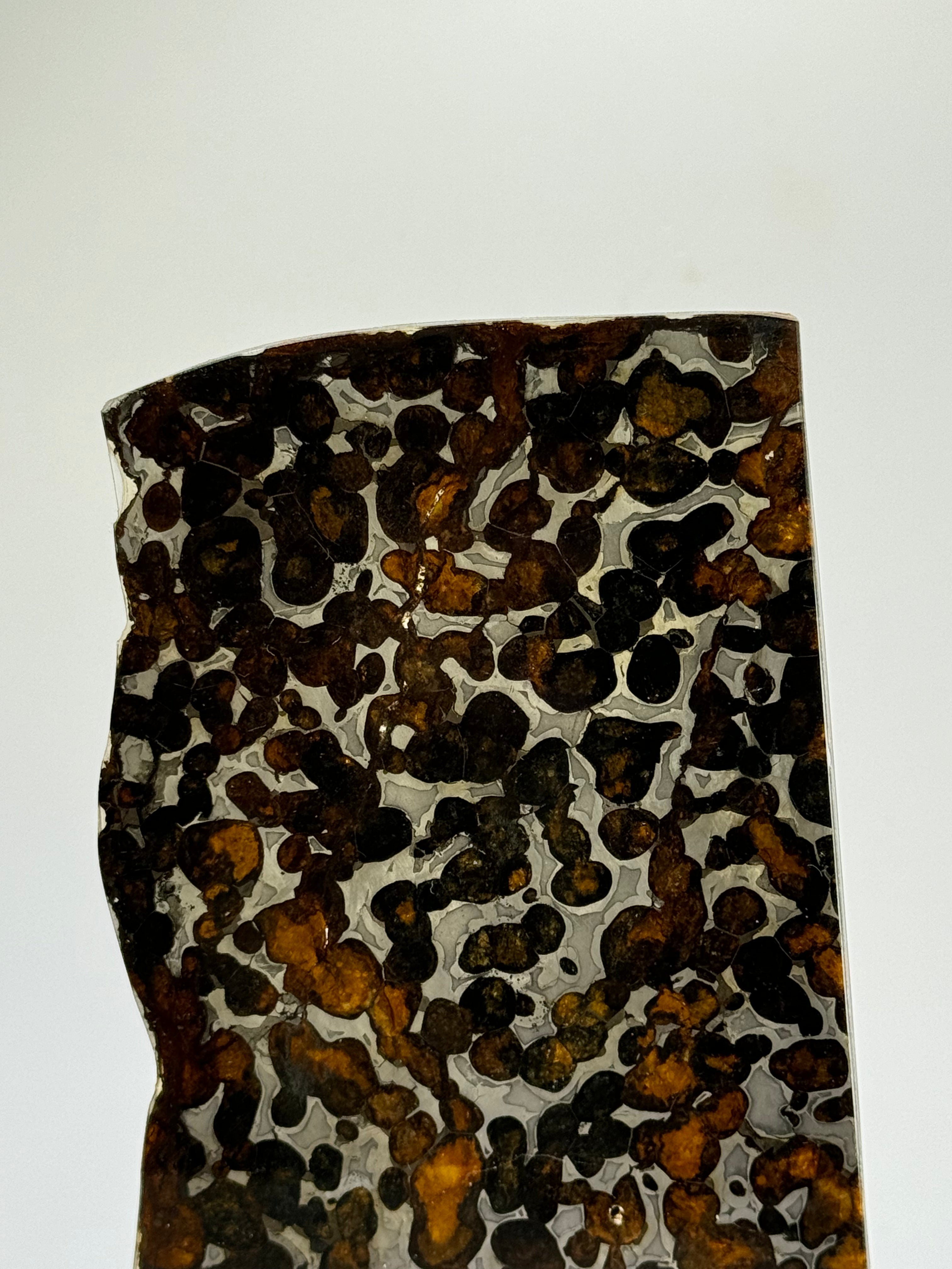 Sericho meteorite, Kenya. 59,46 grams.