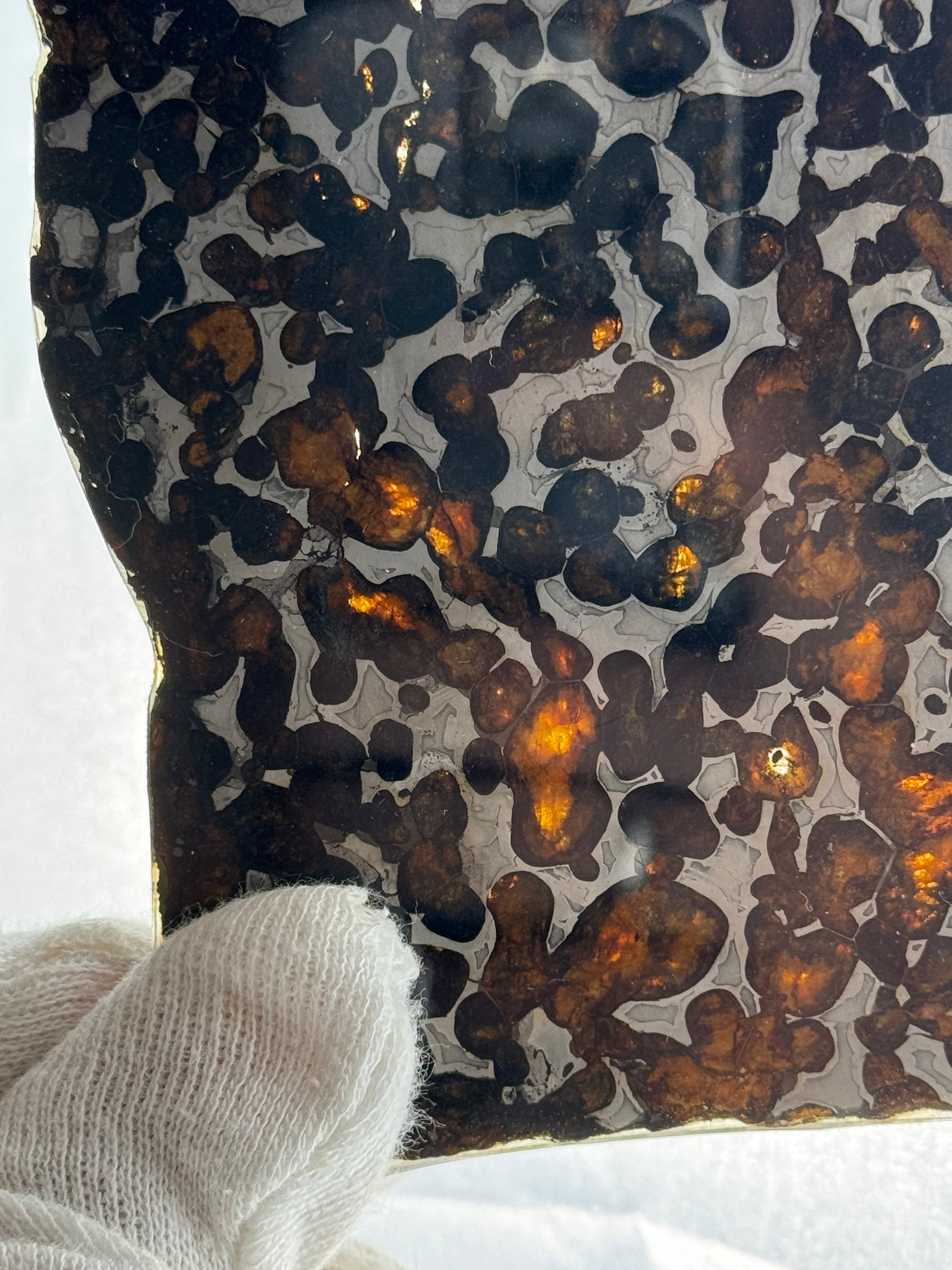 Sericho meteorite, Kenya. 59,46 grams.