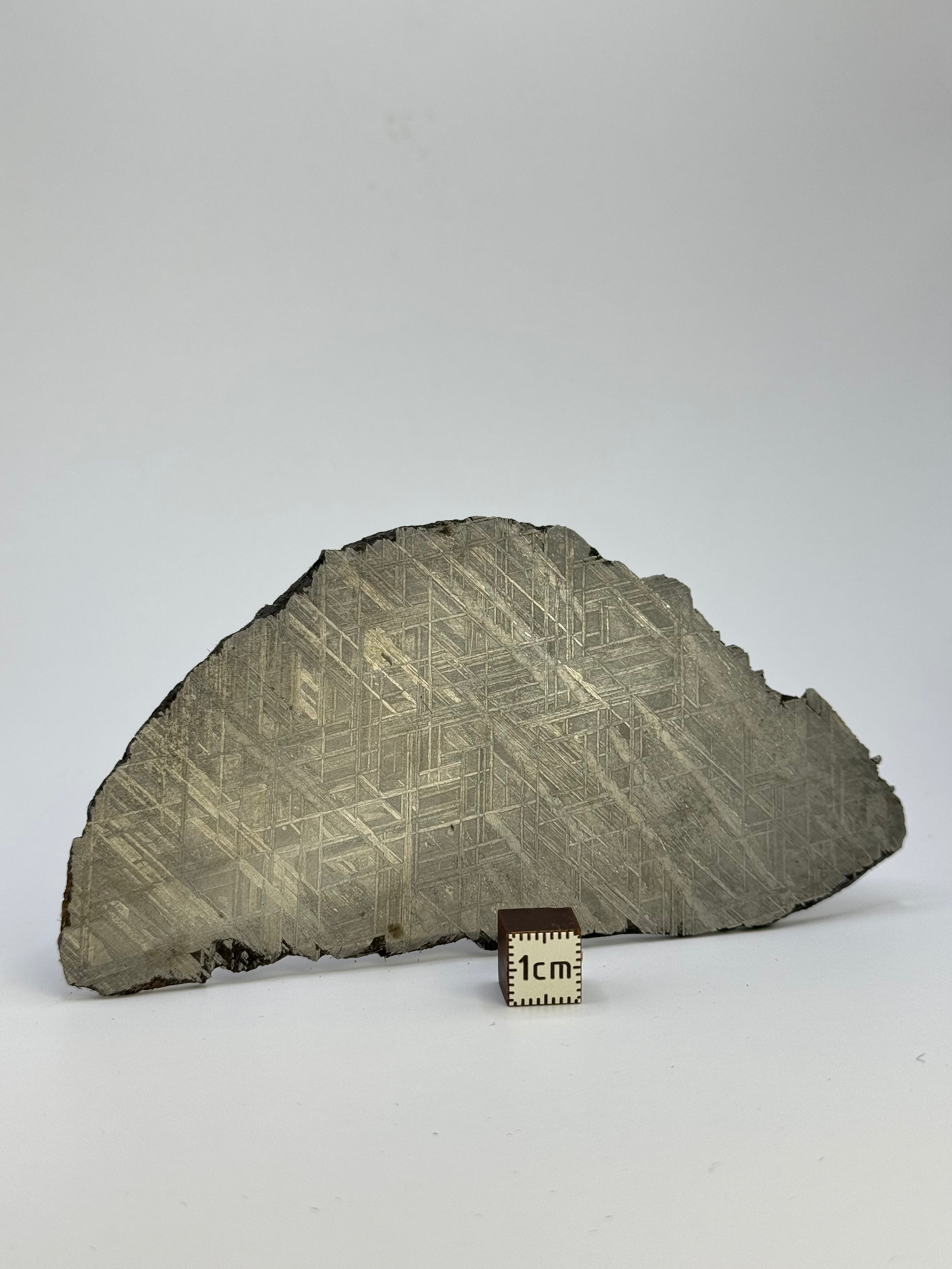 Muonionalusta meteorite, Sweden. 143,21 grams.