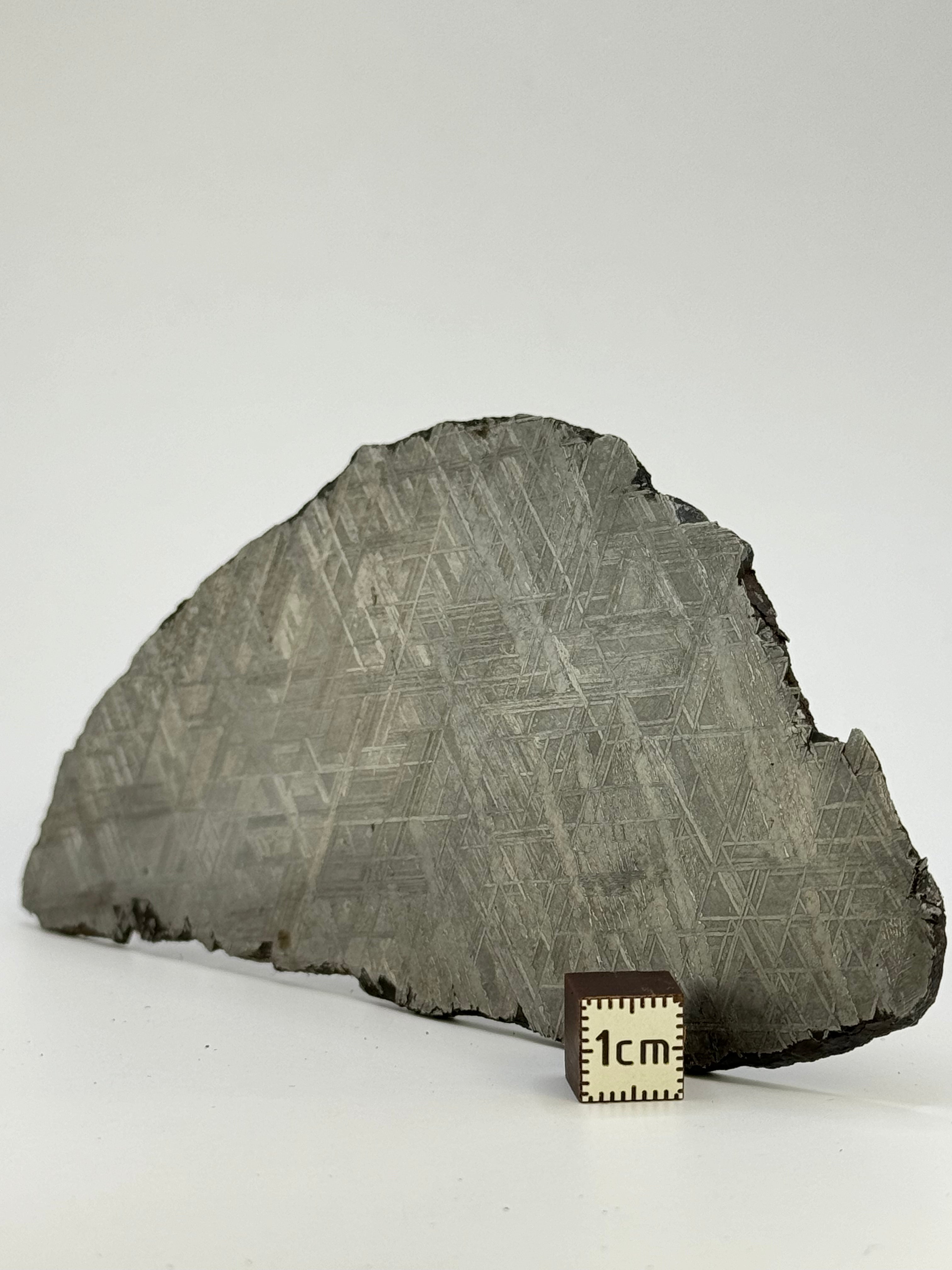 Muonionalusta meteorite, Sweden. 143,21 grams.