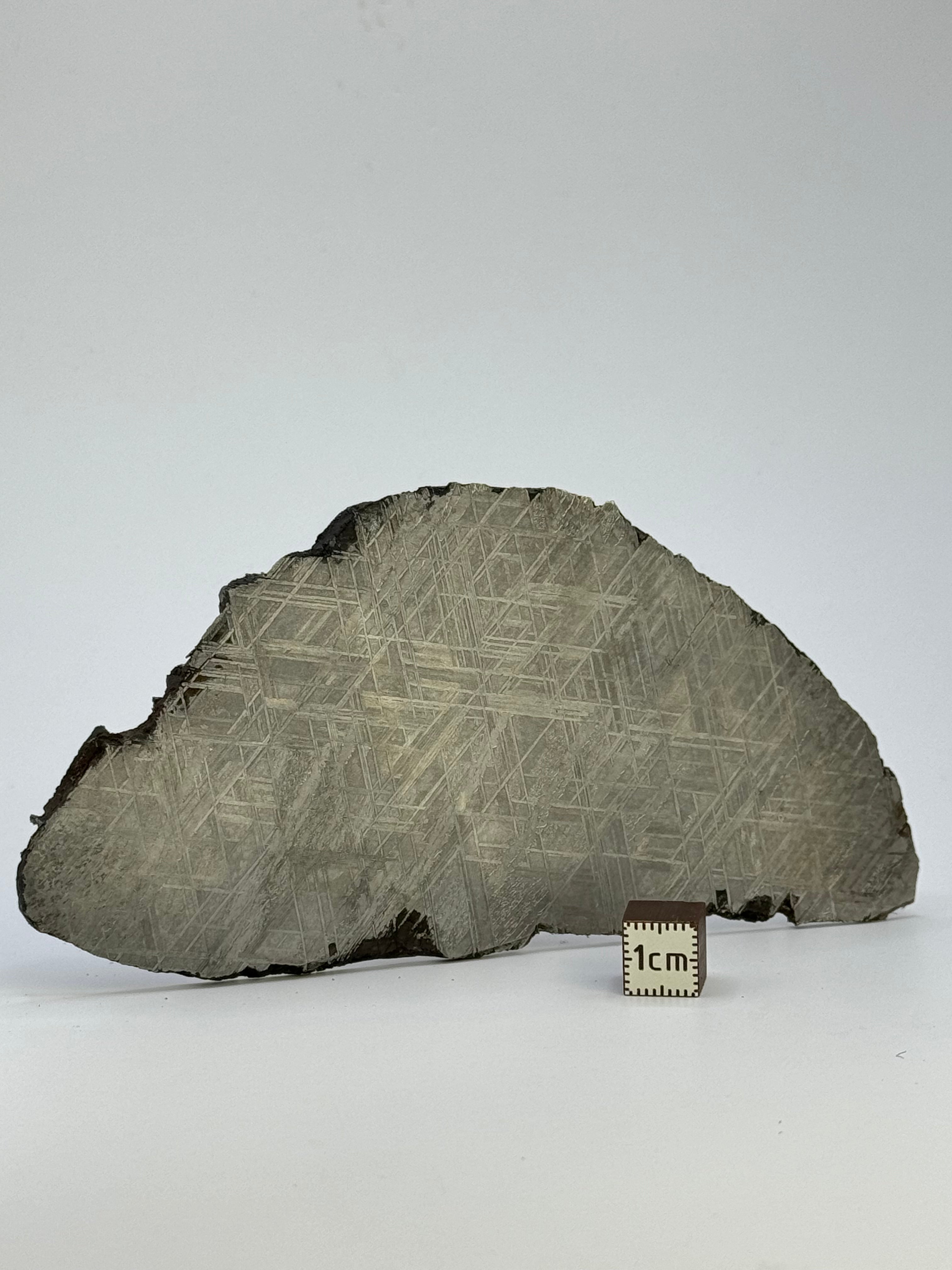 Muonionalusta meteorite, Sweden. 143,21 grams.