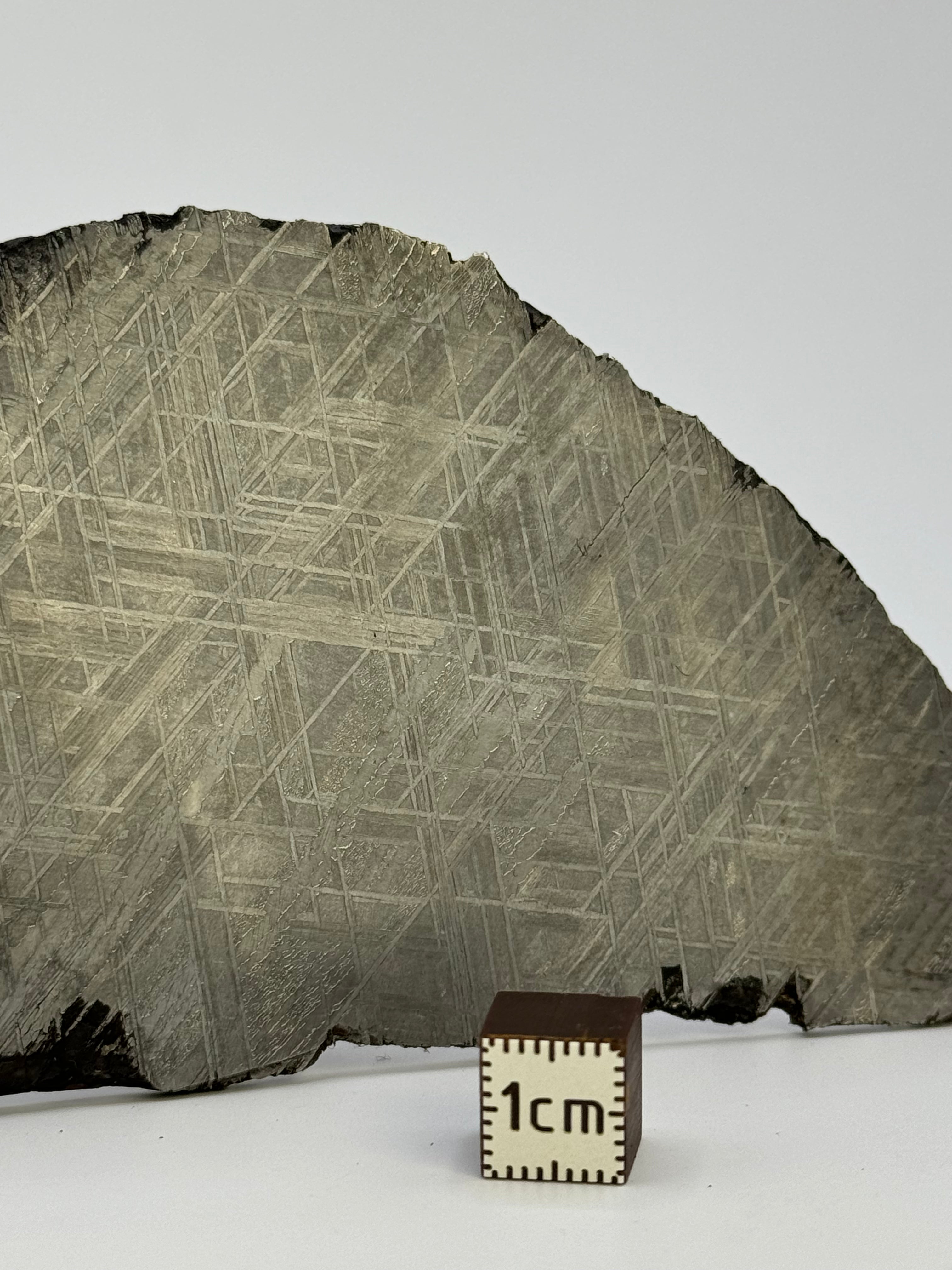 Muonionalusta meteorite, Sweden. 143,21 grams.