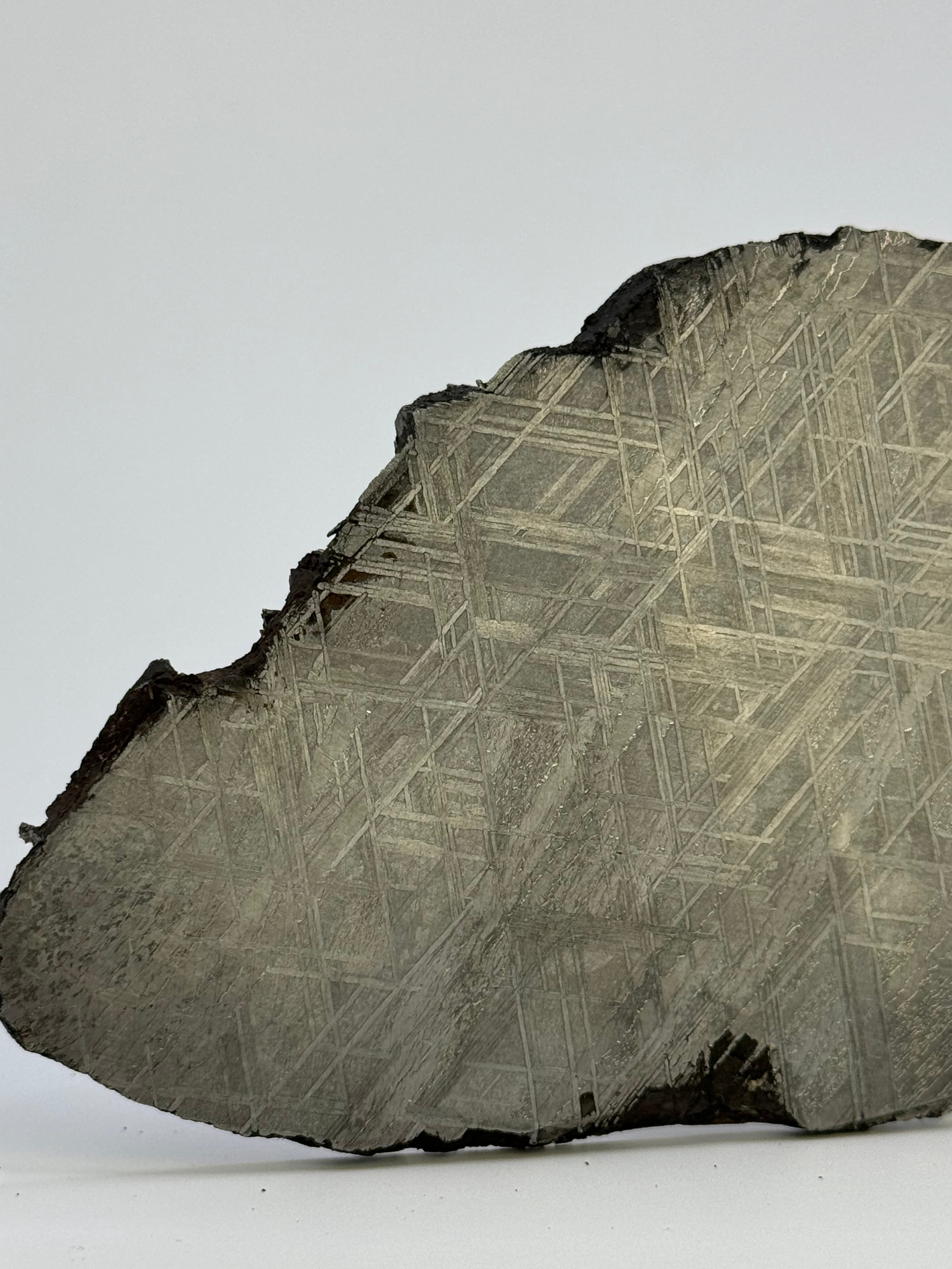 Muonionalusta meteorite, Sweden. 143,21 grams.