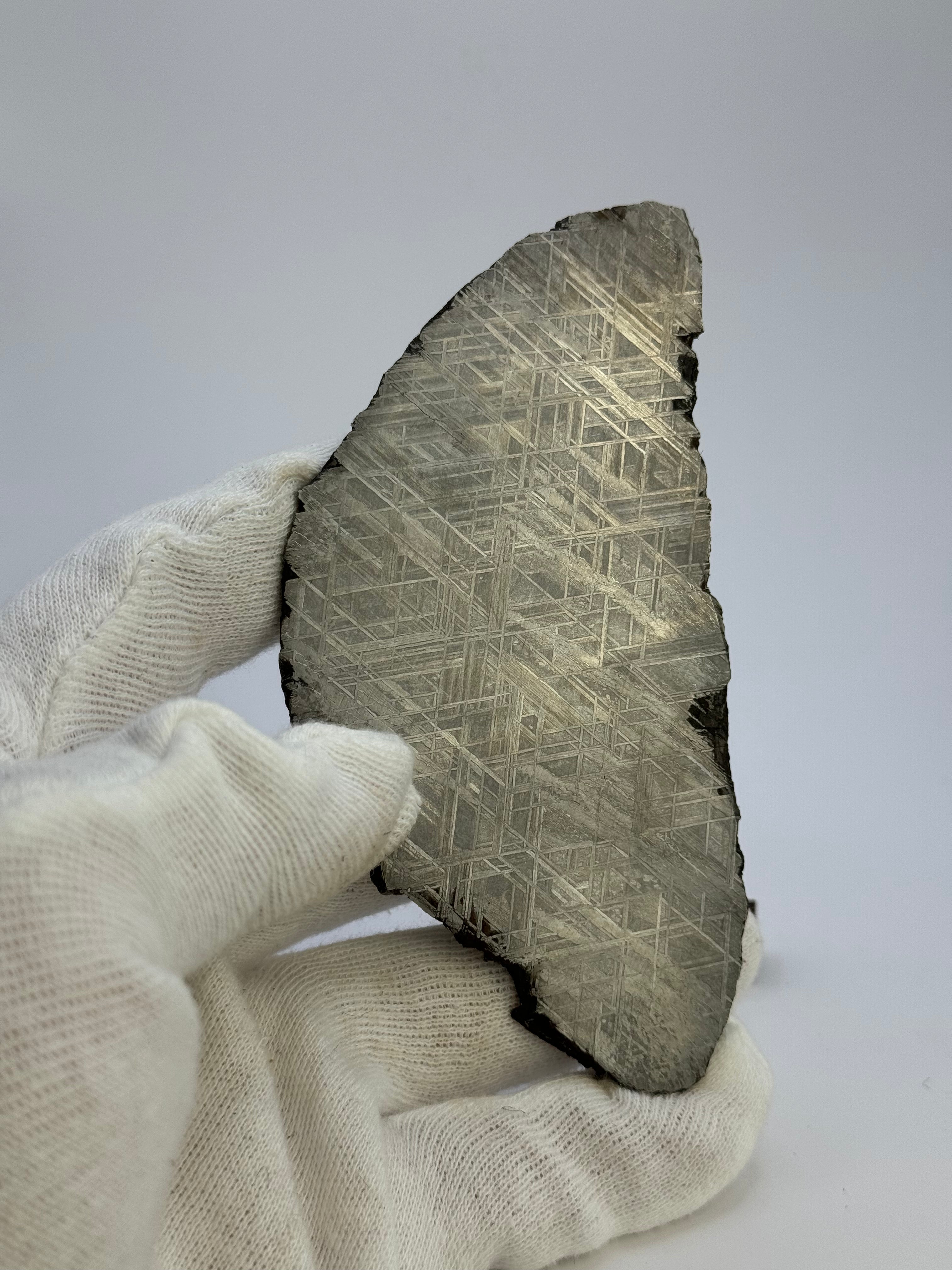 Muonionalusta meteorite, Sweden. 143,21 grams.