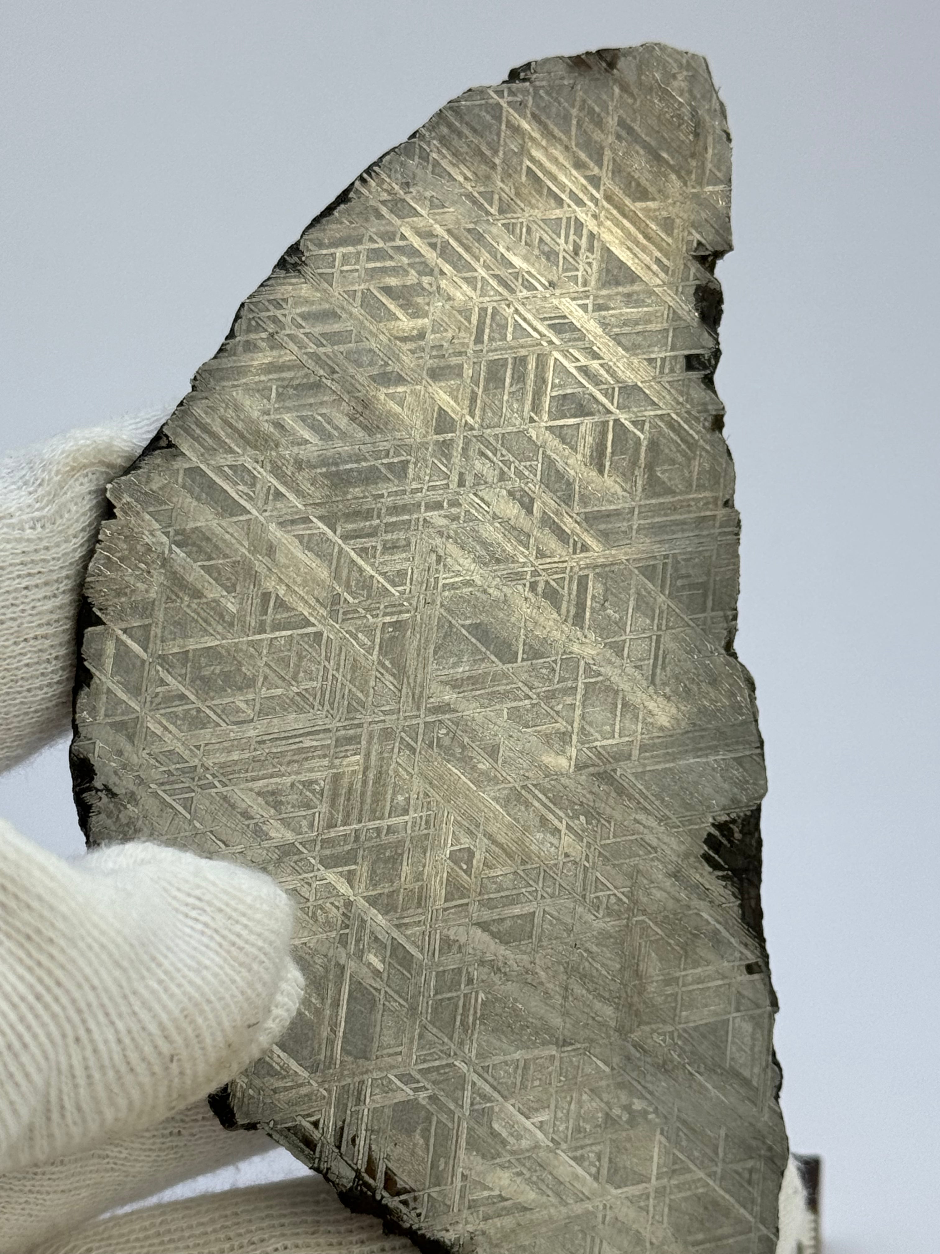 Muonionalusta meteorite, Sweden. 143,21 grams.