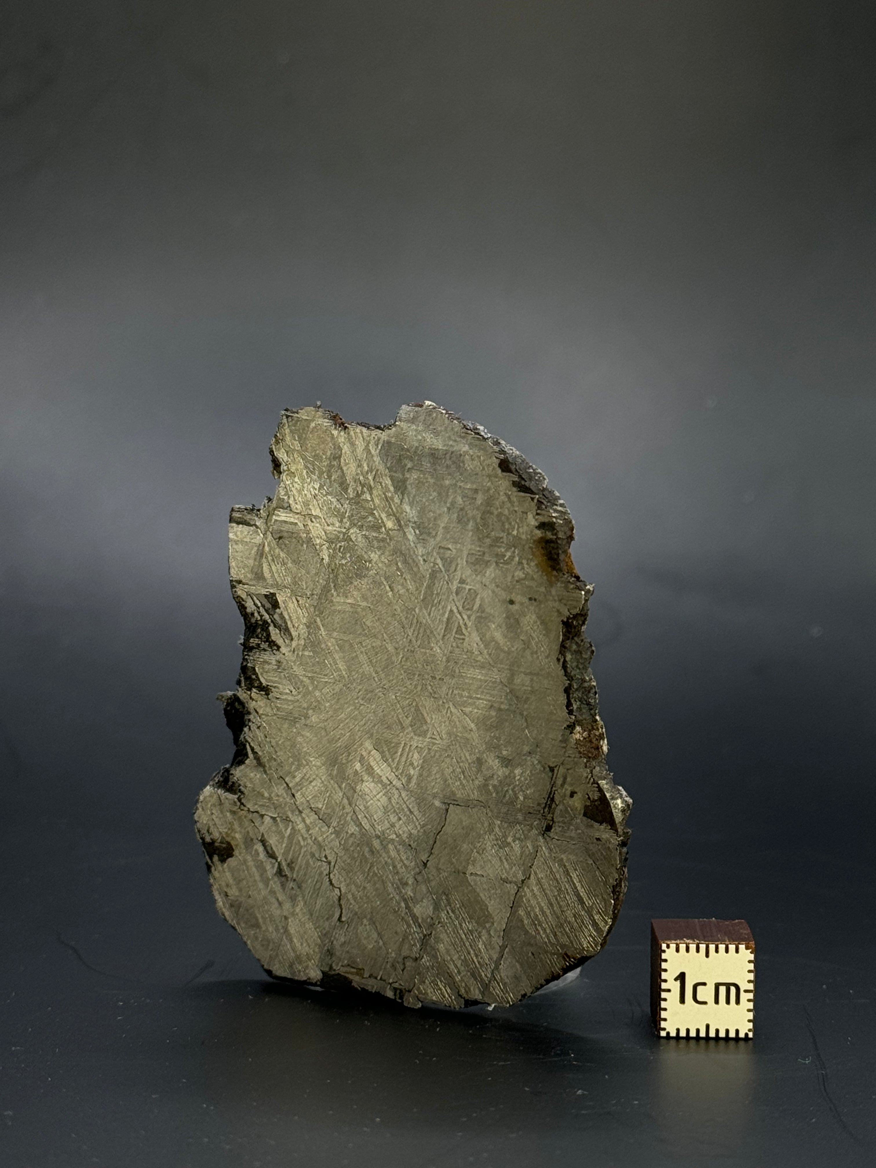 Muonionalusta meteorite, Sweden. 51,92 grams