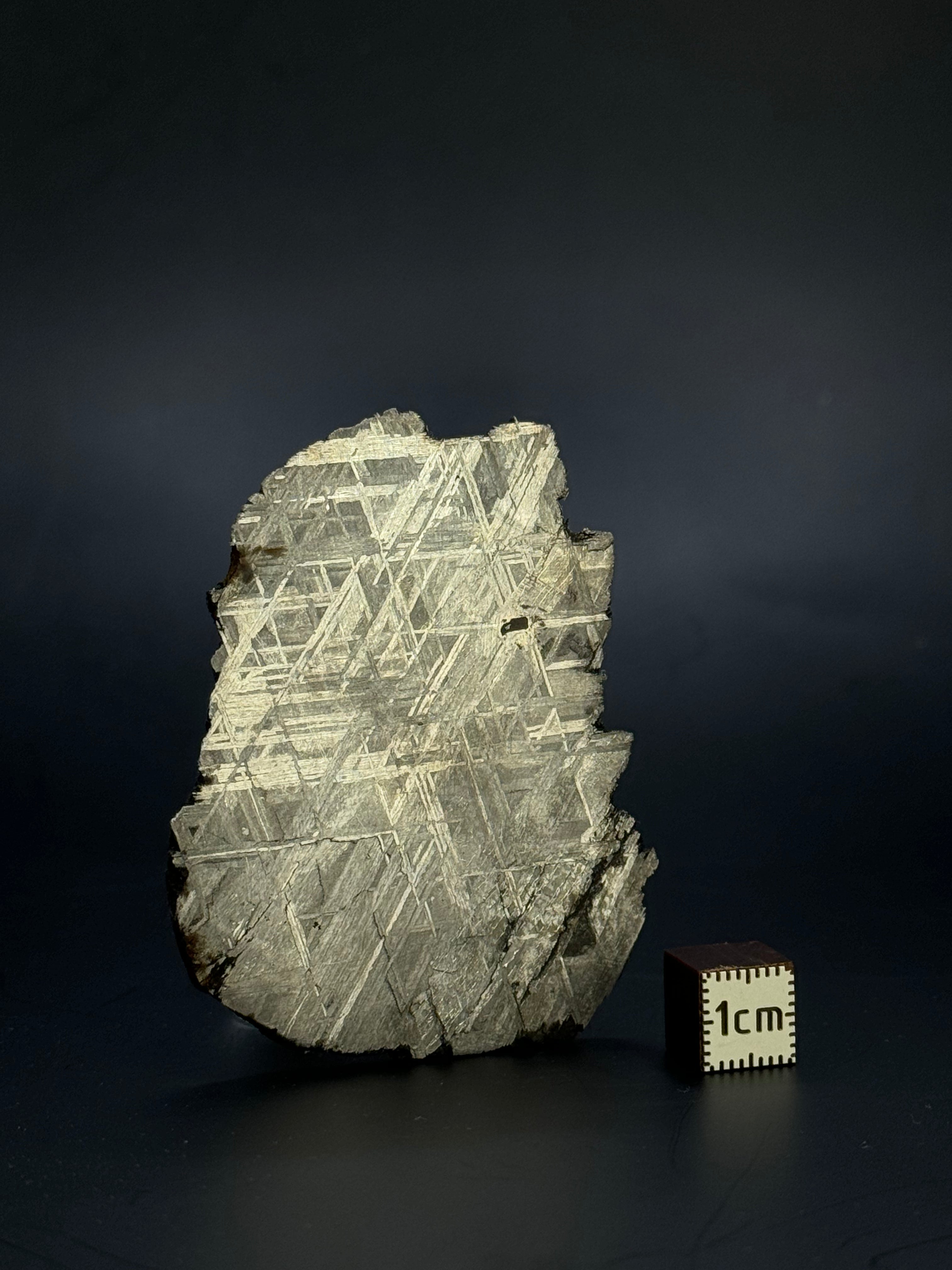 Muonionalusta meteorite, Sweden. 51,92 grams