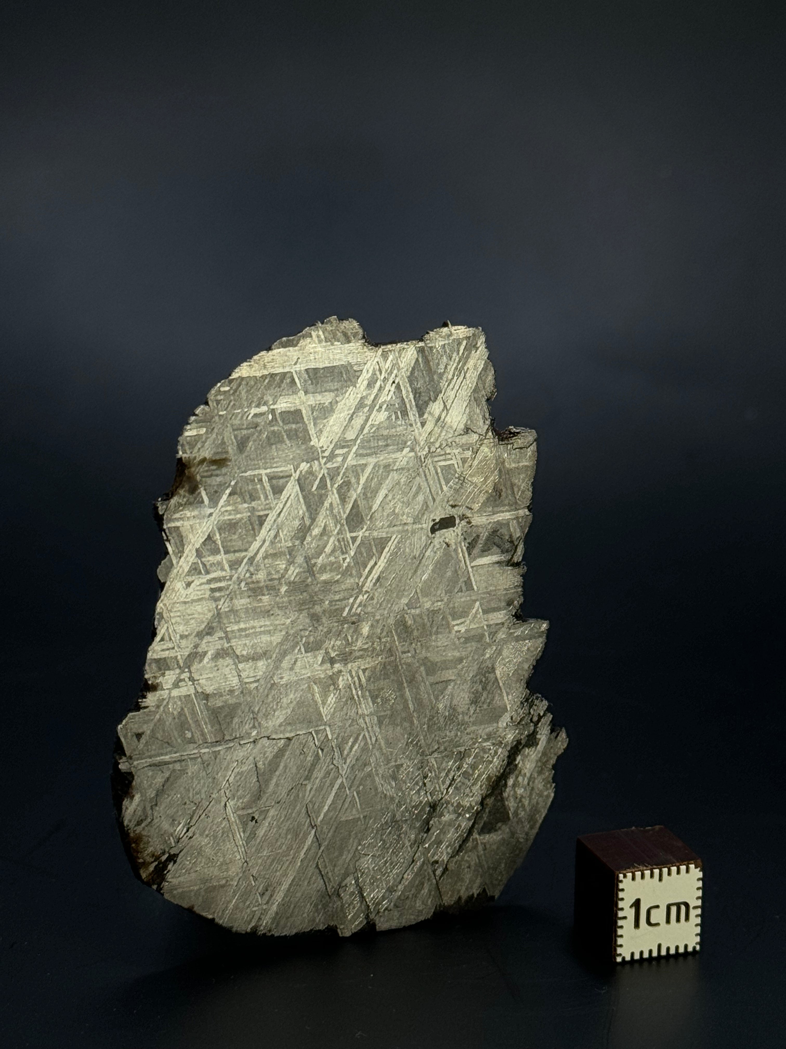 Muonionalusta meteorite, Sweden. 51,92 grams