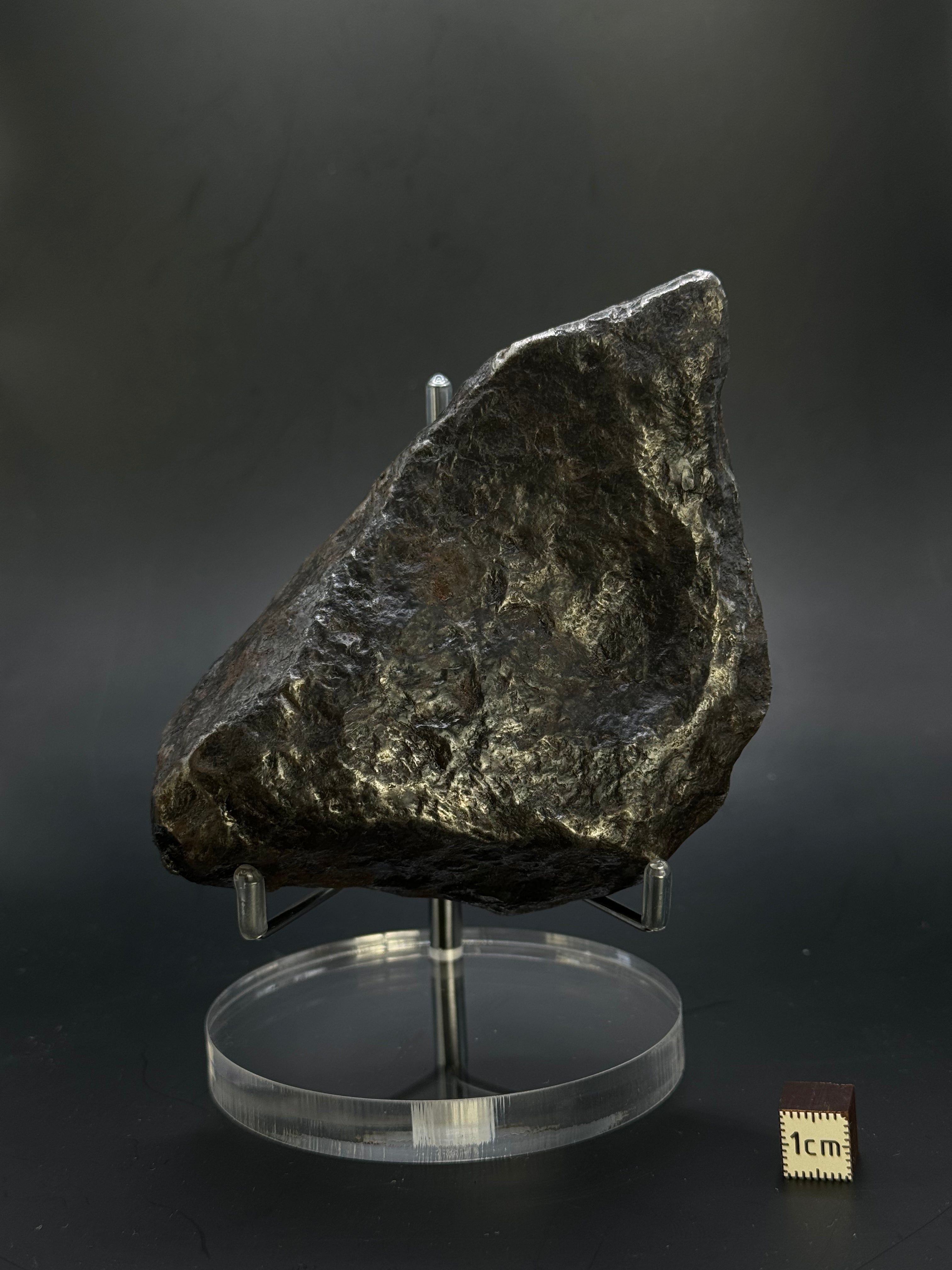 Muonionalusta meteorite, Sweden. Full meteorite, 1217 grams.