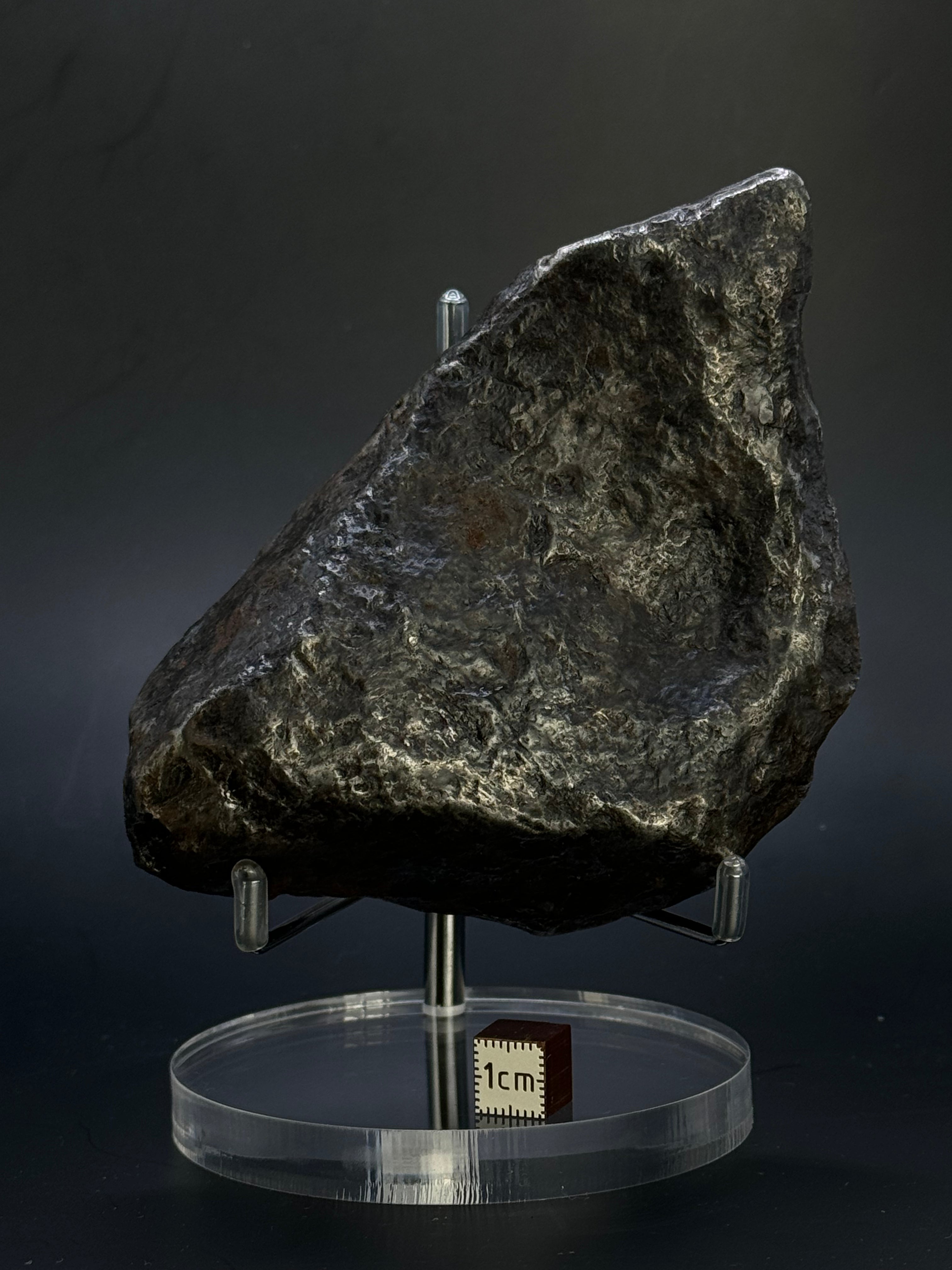 Muonionalusta meteorite, Sweden. Full meteorite, 1217 grams.