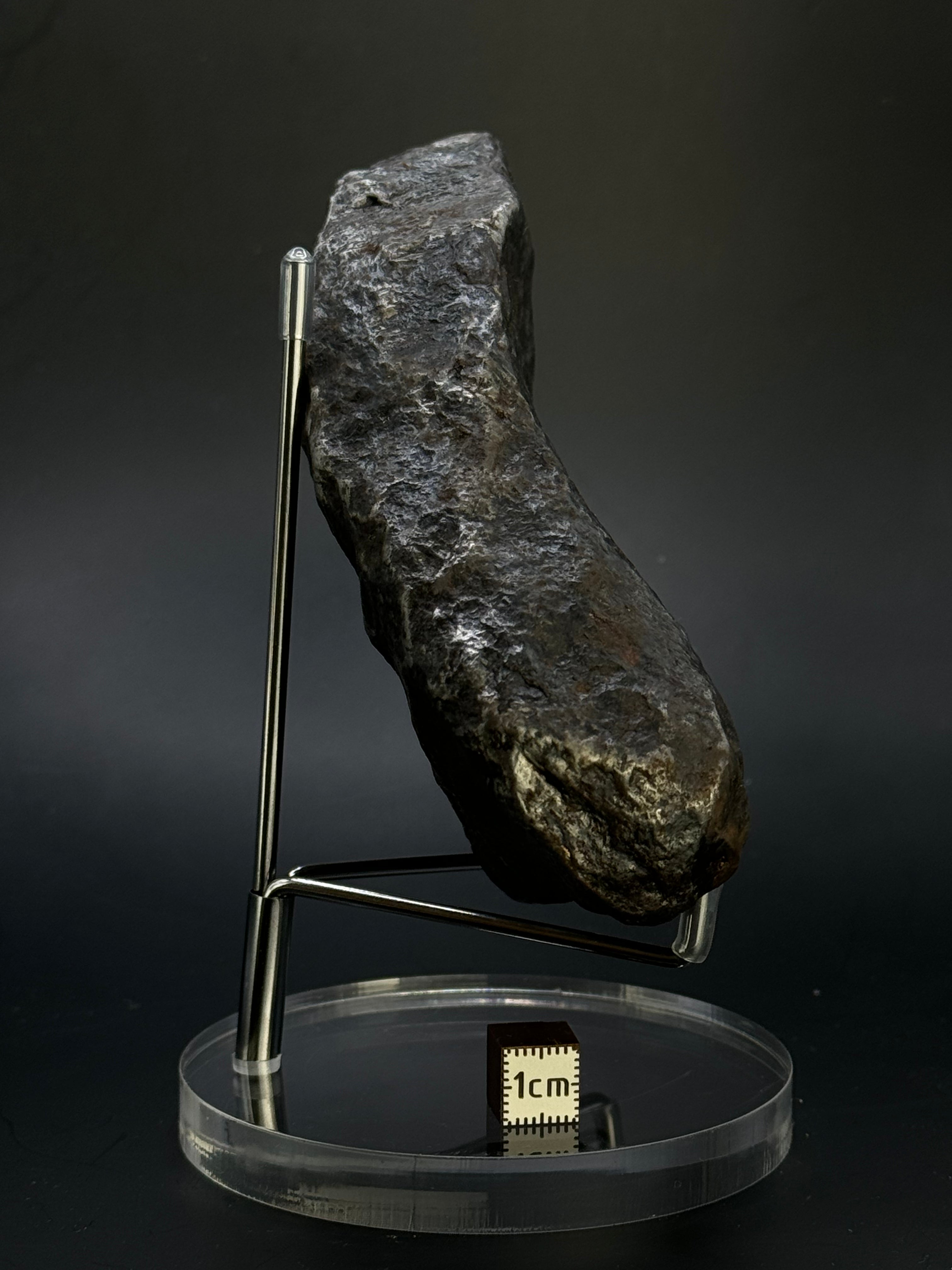 Muonionalusta meteorite, Sweden. Full meteorite, 1217 grams.
