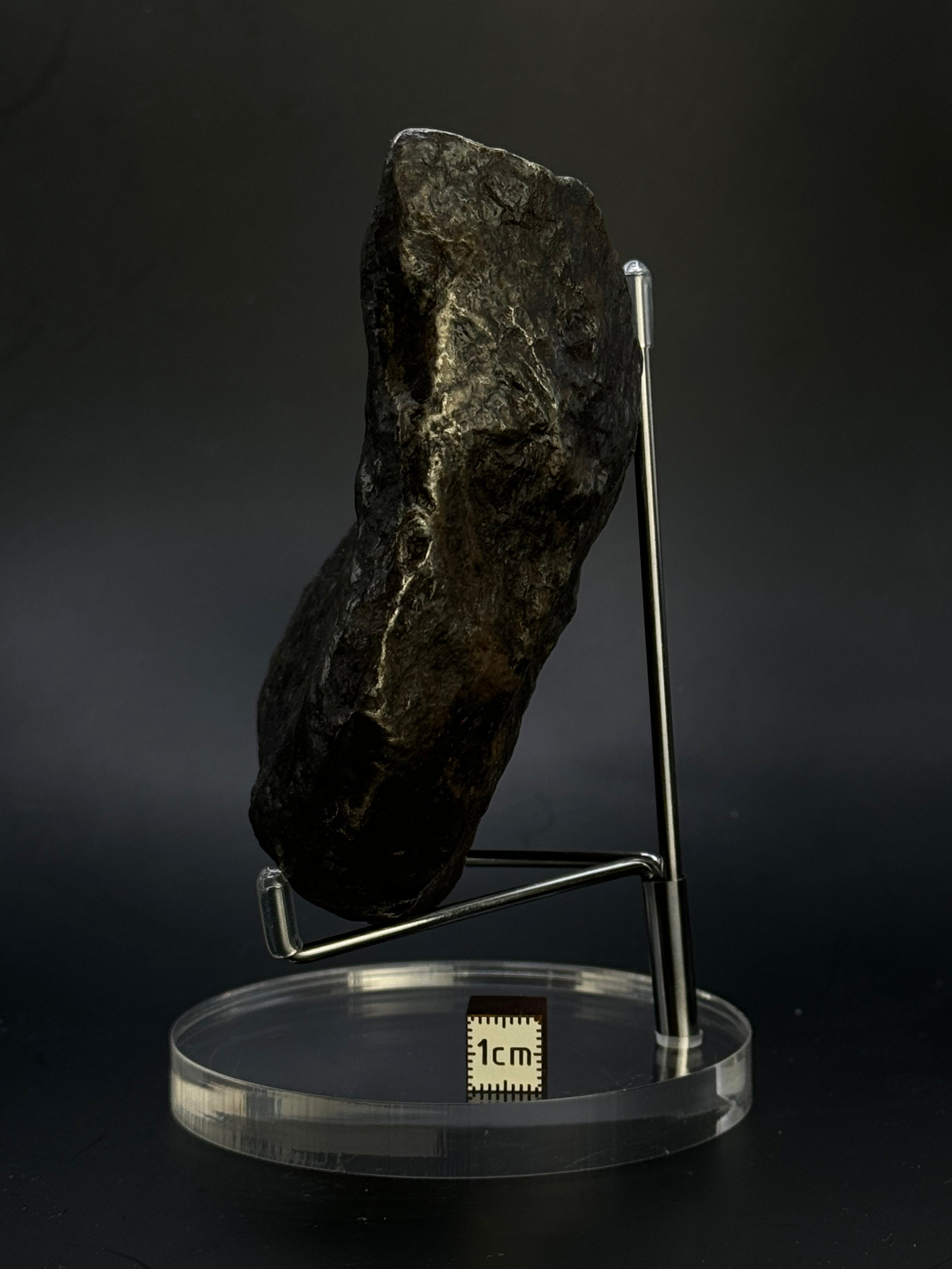 Muonionalusta meteorite, Sweden. Full meteorite, 1217 grams.