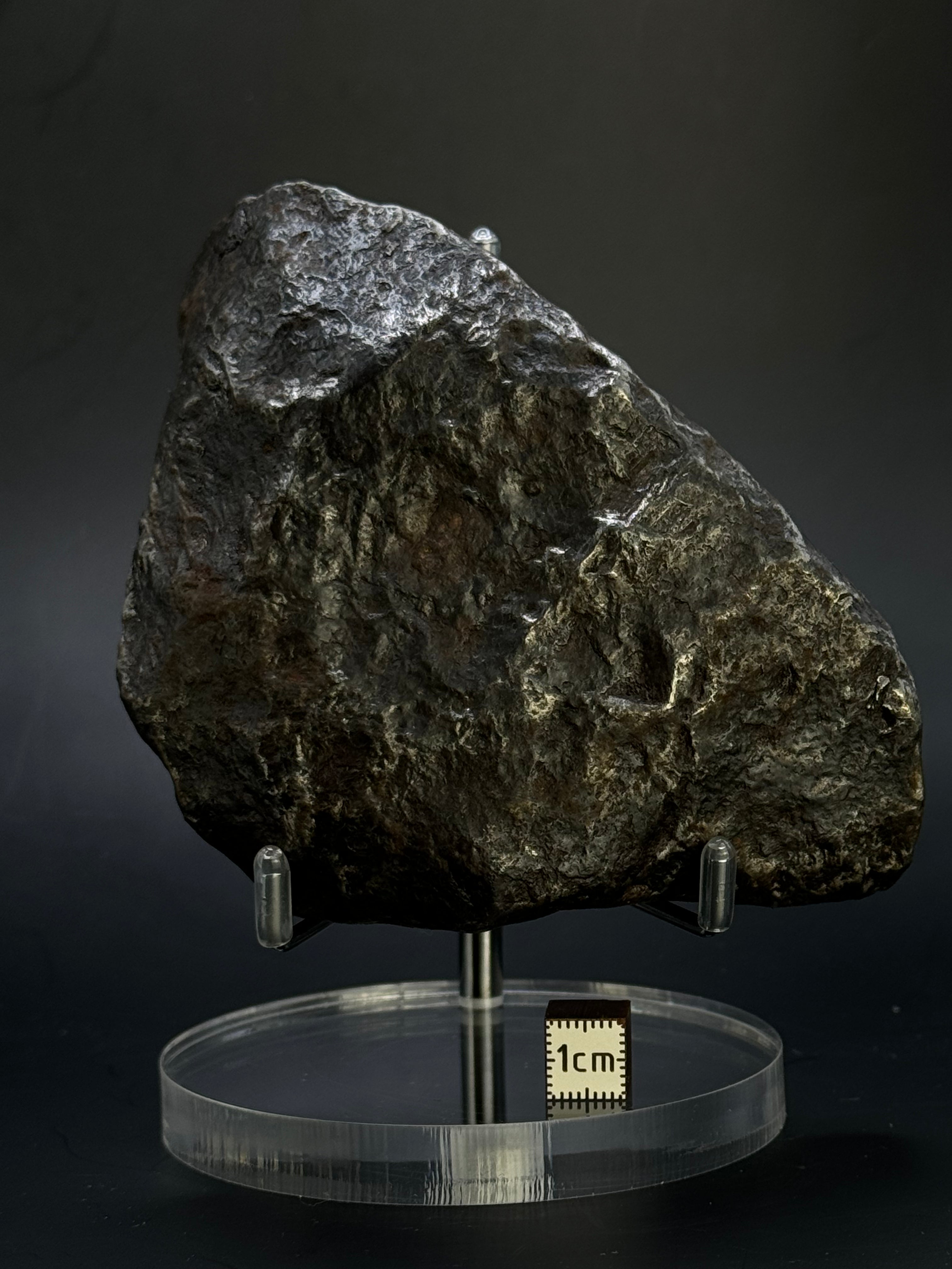 Muonionalusta meteorite, Sweden. Full meteorite, 1217 grams.