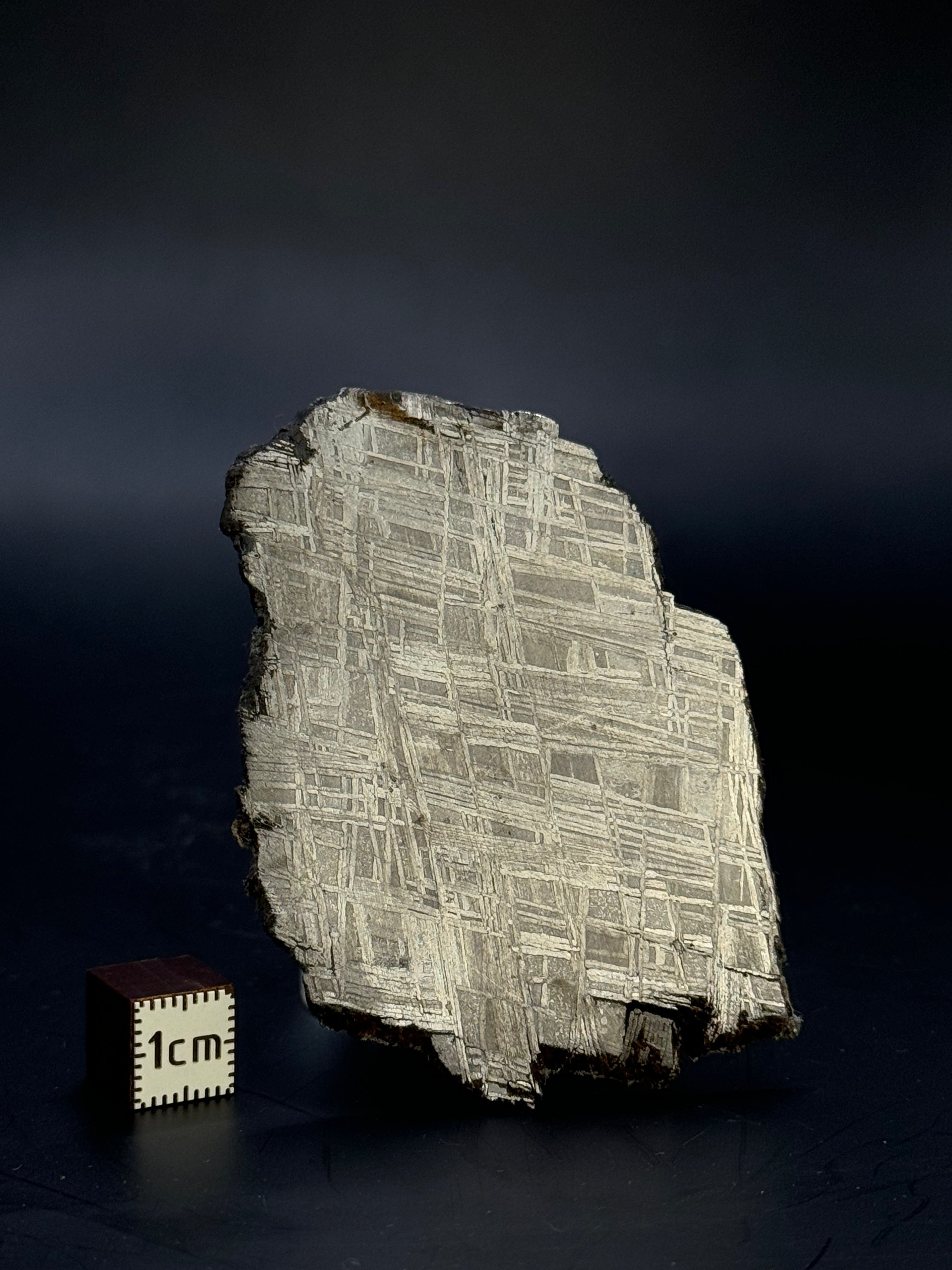 Muonionalusta meteorite, Sweden. 43,40 grams.