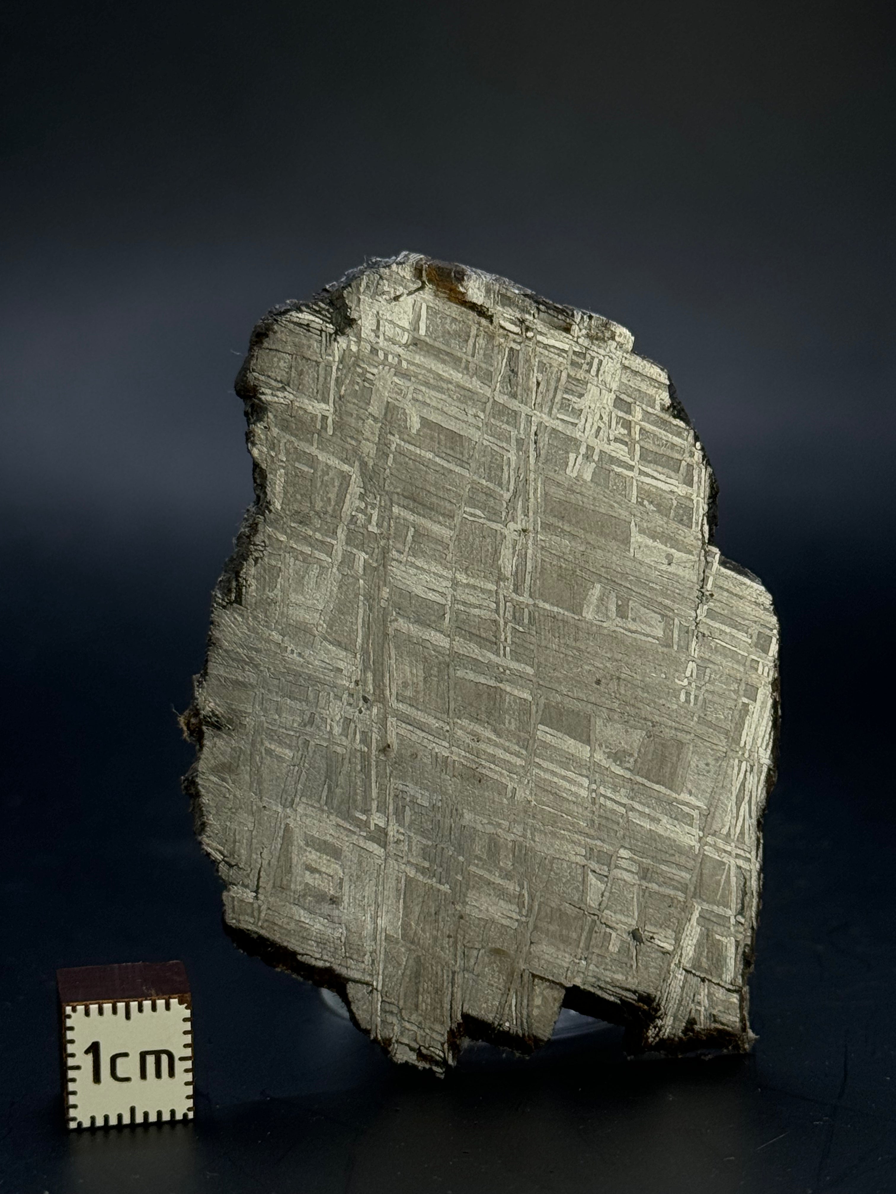 Muonionalusta meteorite, Sweden. 43,40 grams.