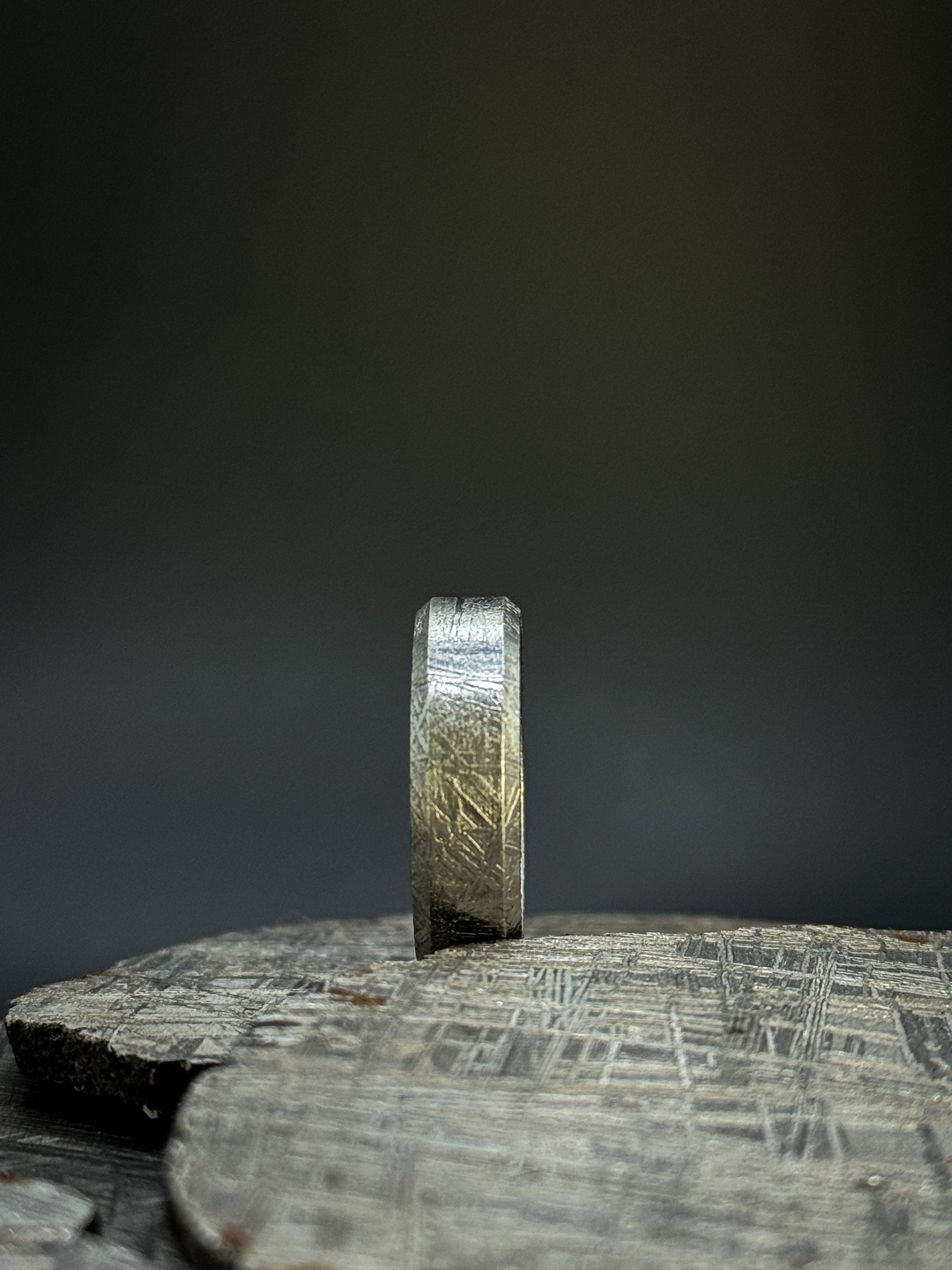 Muonionalusta meteorite Solid ring, Flat.