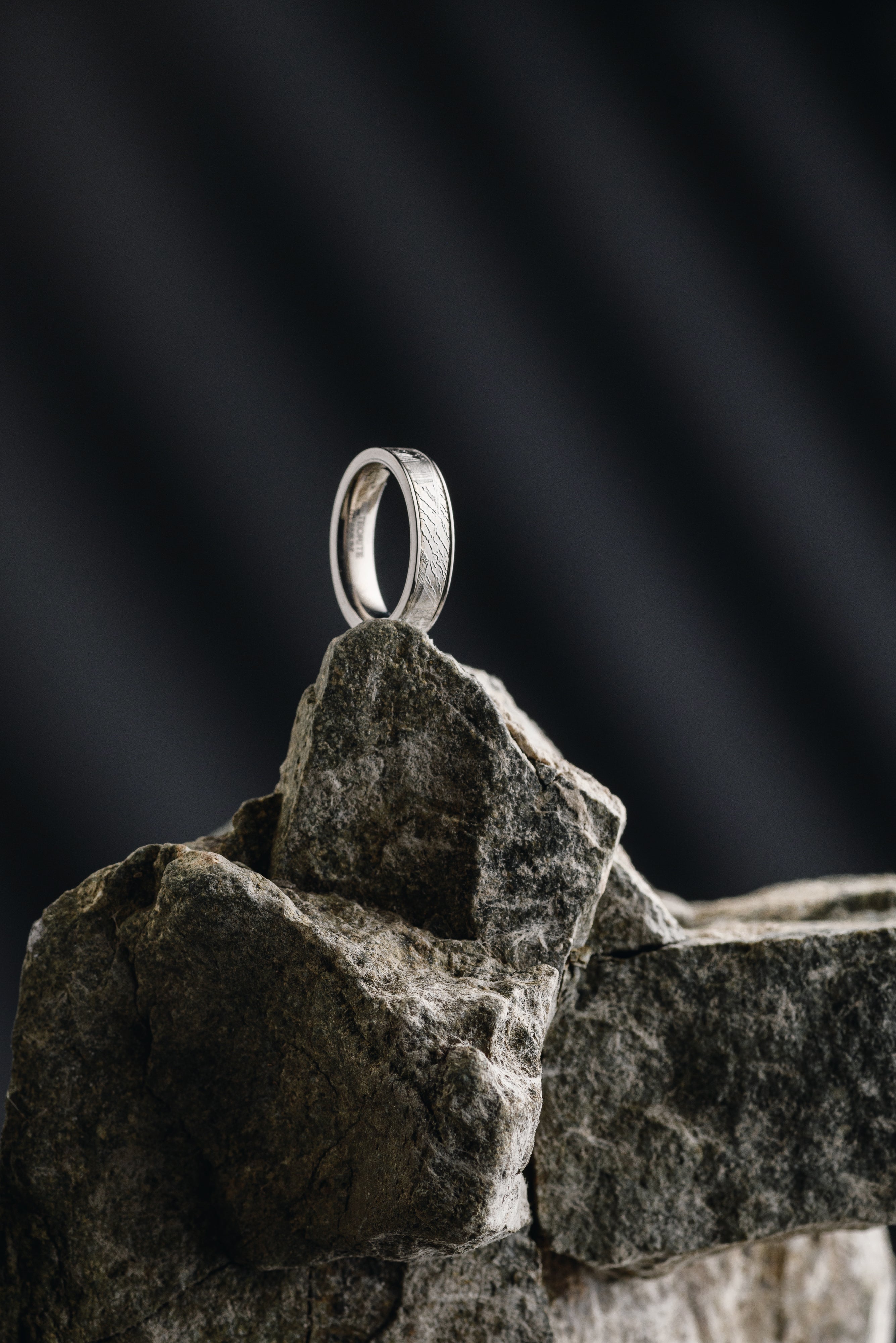 Muonionalusta meteorite ring, with Titanium inlay.