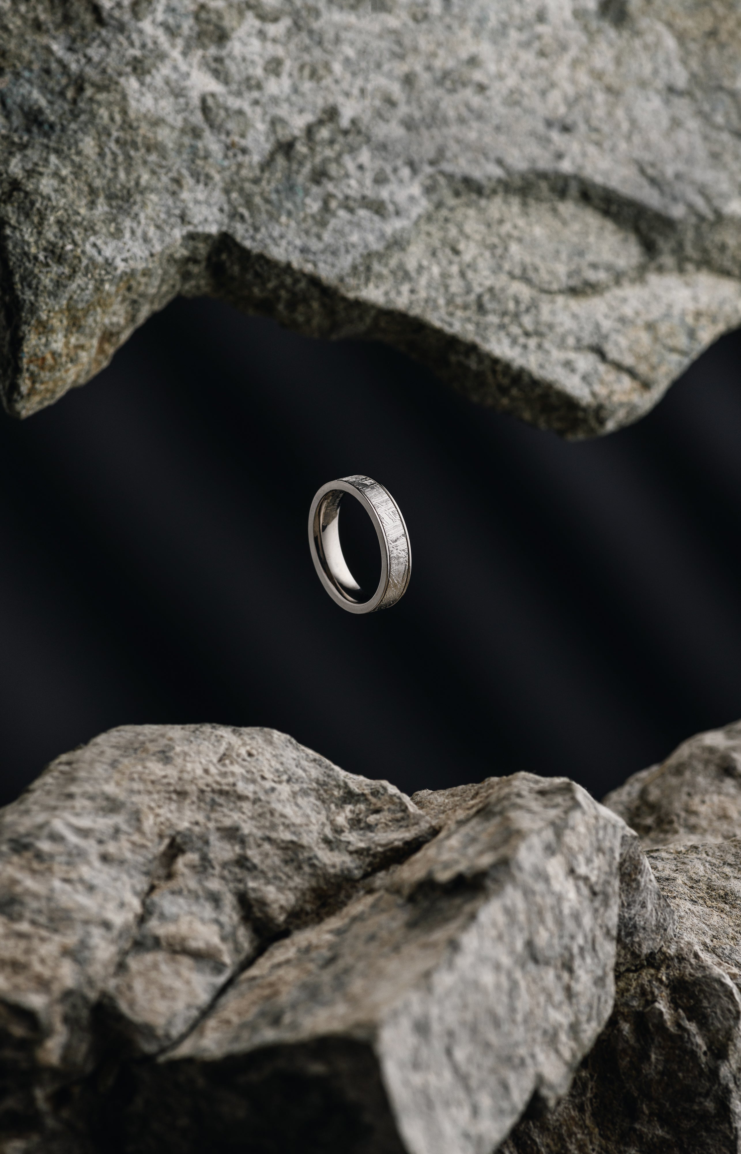 Muonionalusta meteorite ring, with Titanium inlay.