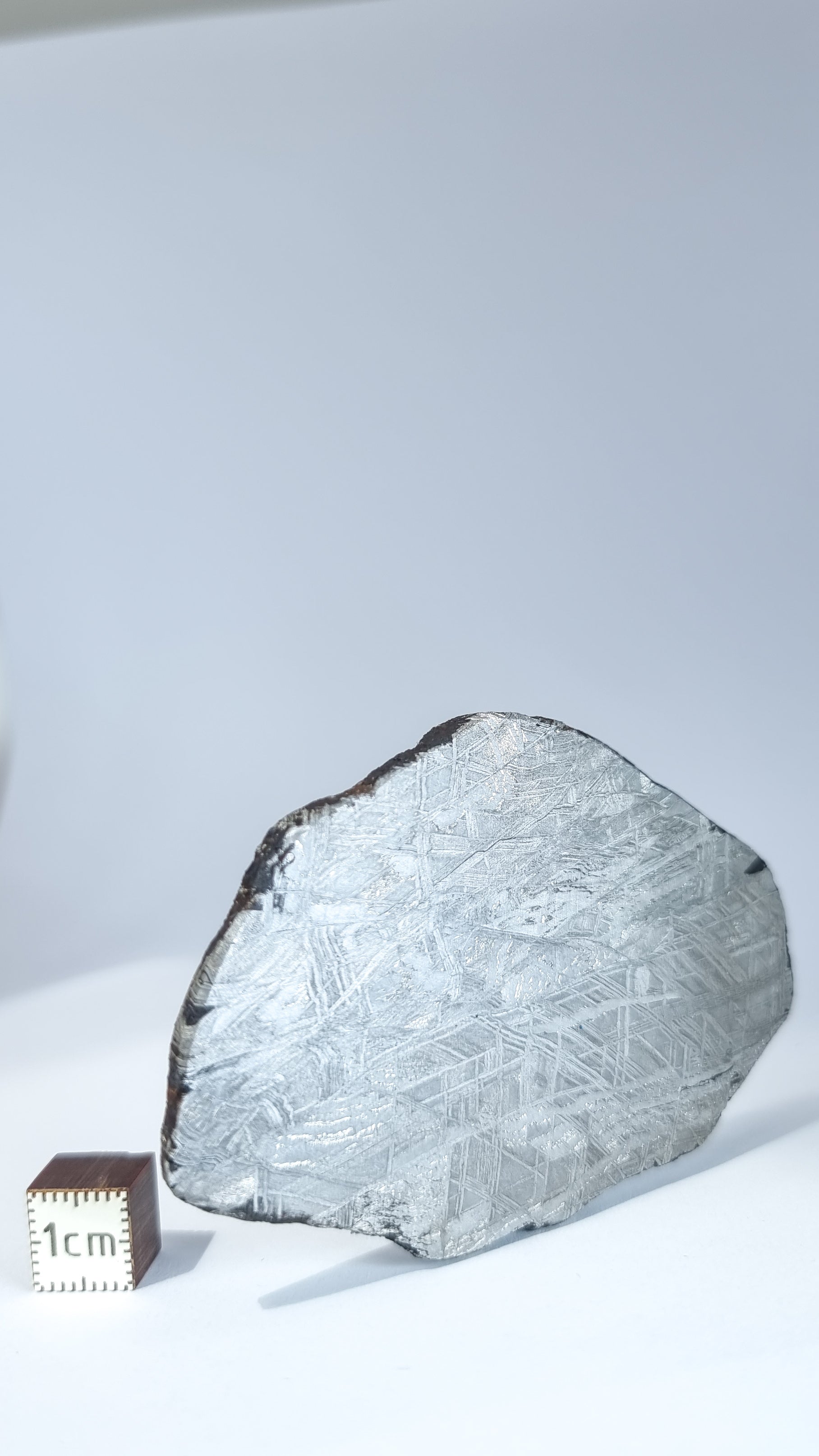 Muonionalusta Meteorite, Sweden. Slice 76.99grams