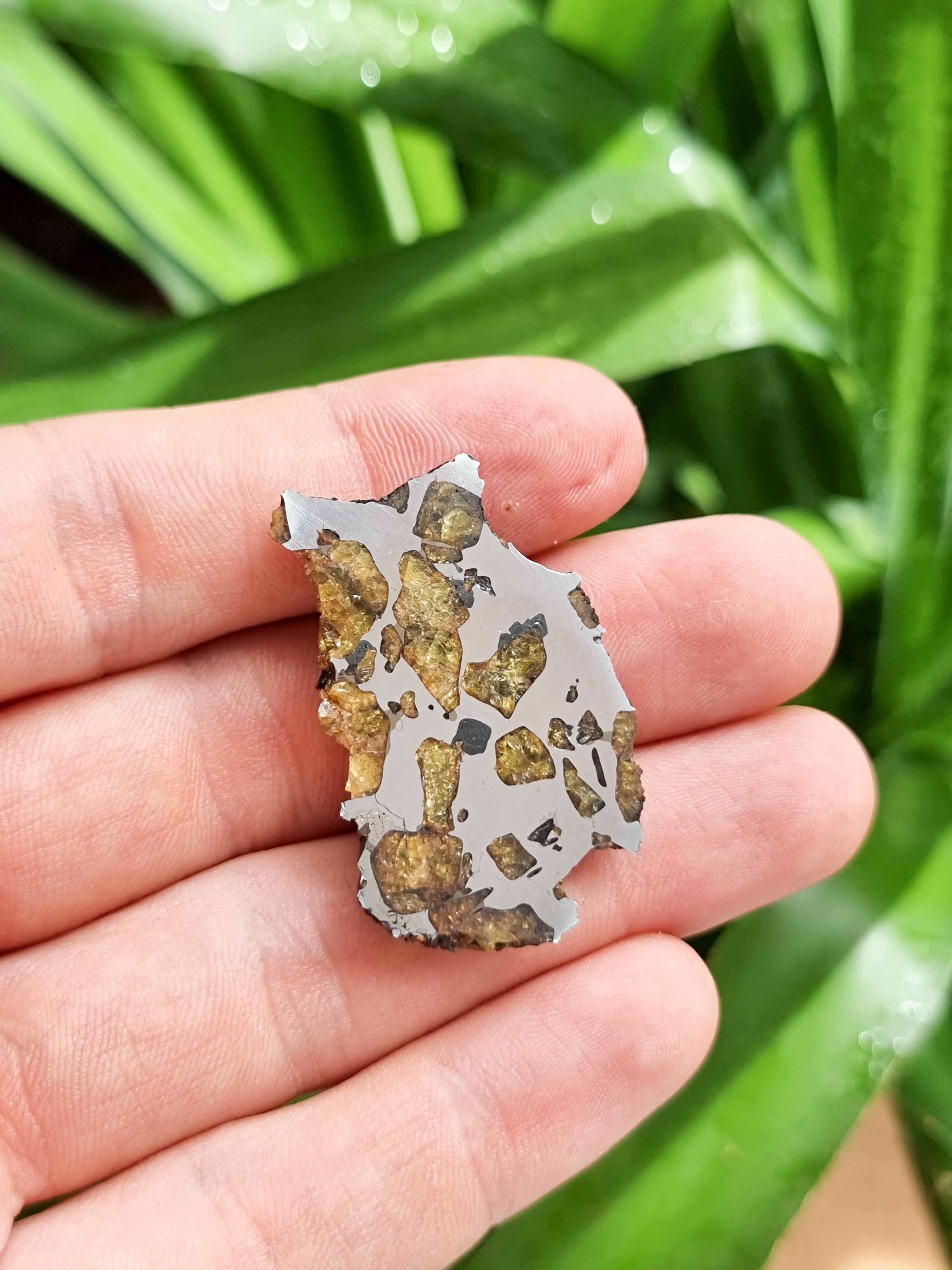 Imiliac Pallasite meteorite, Chile. 16.08g Endcut