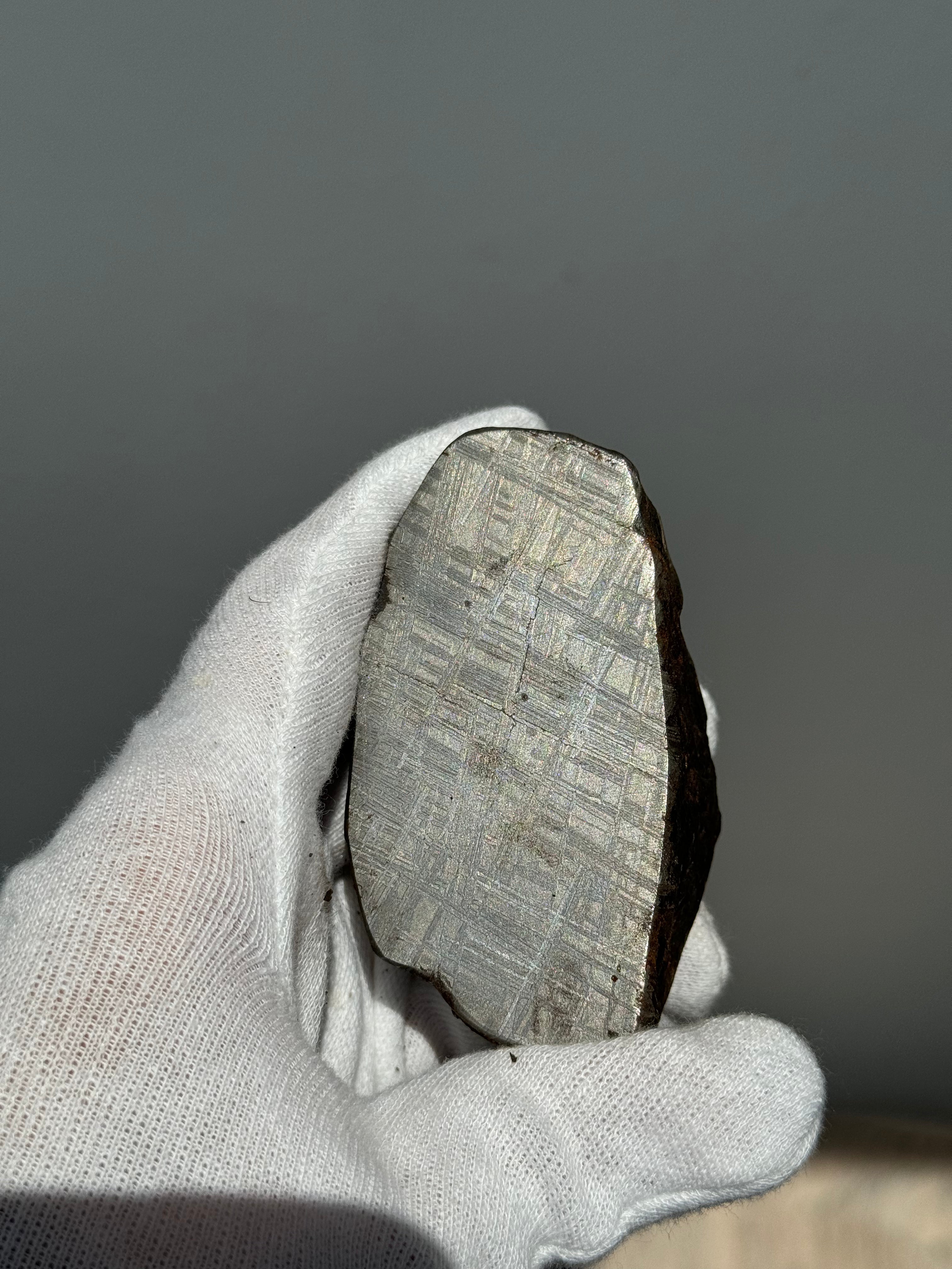 Muonionalusta meteorite, Sweden.  580g end-cut.