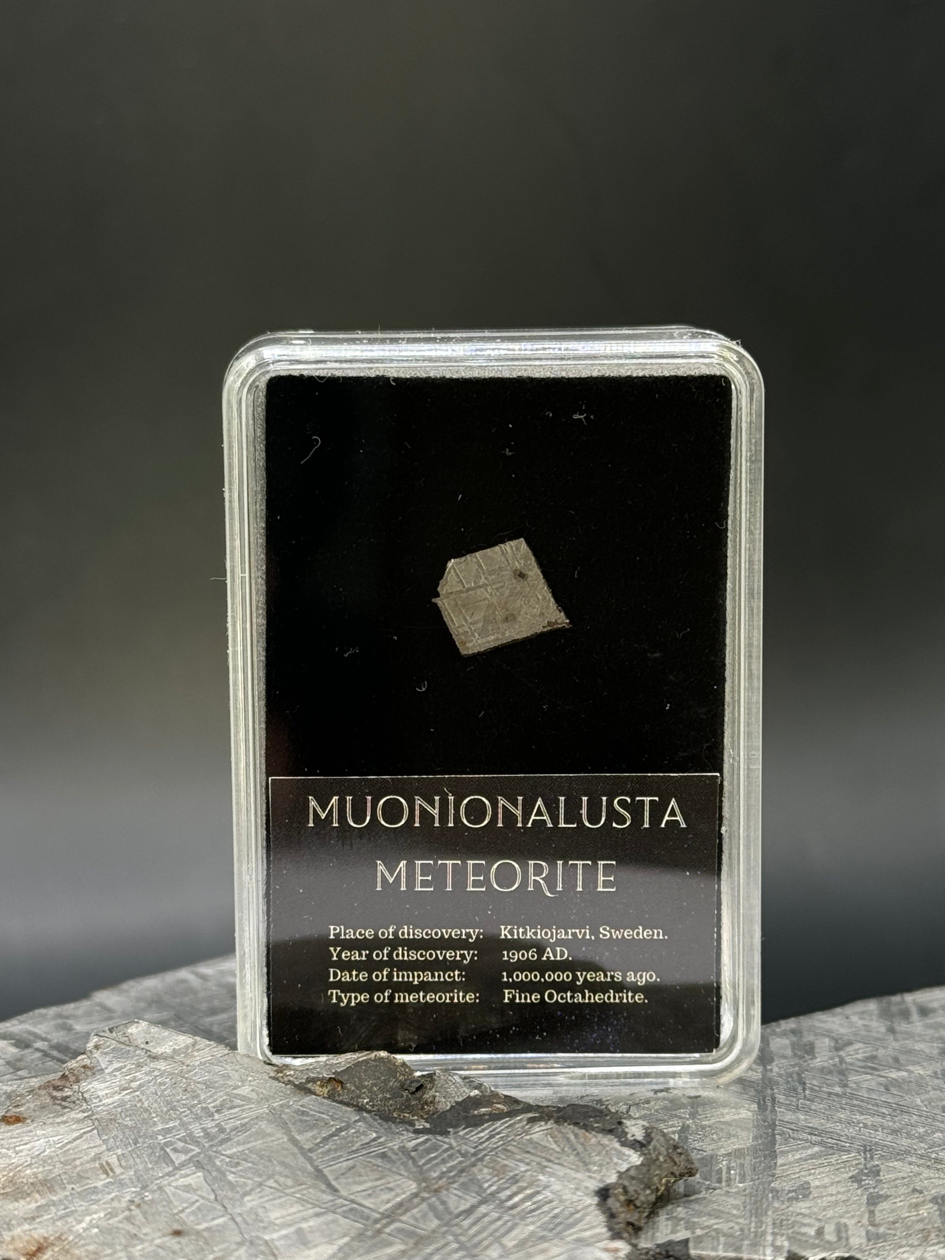 Muonionalusta Meteorite in Display box, 1 gram.