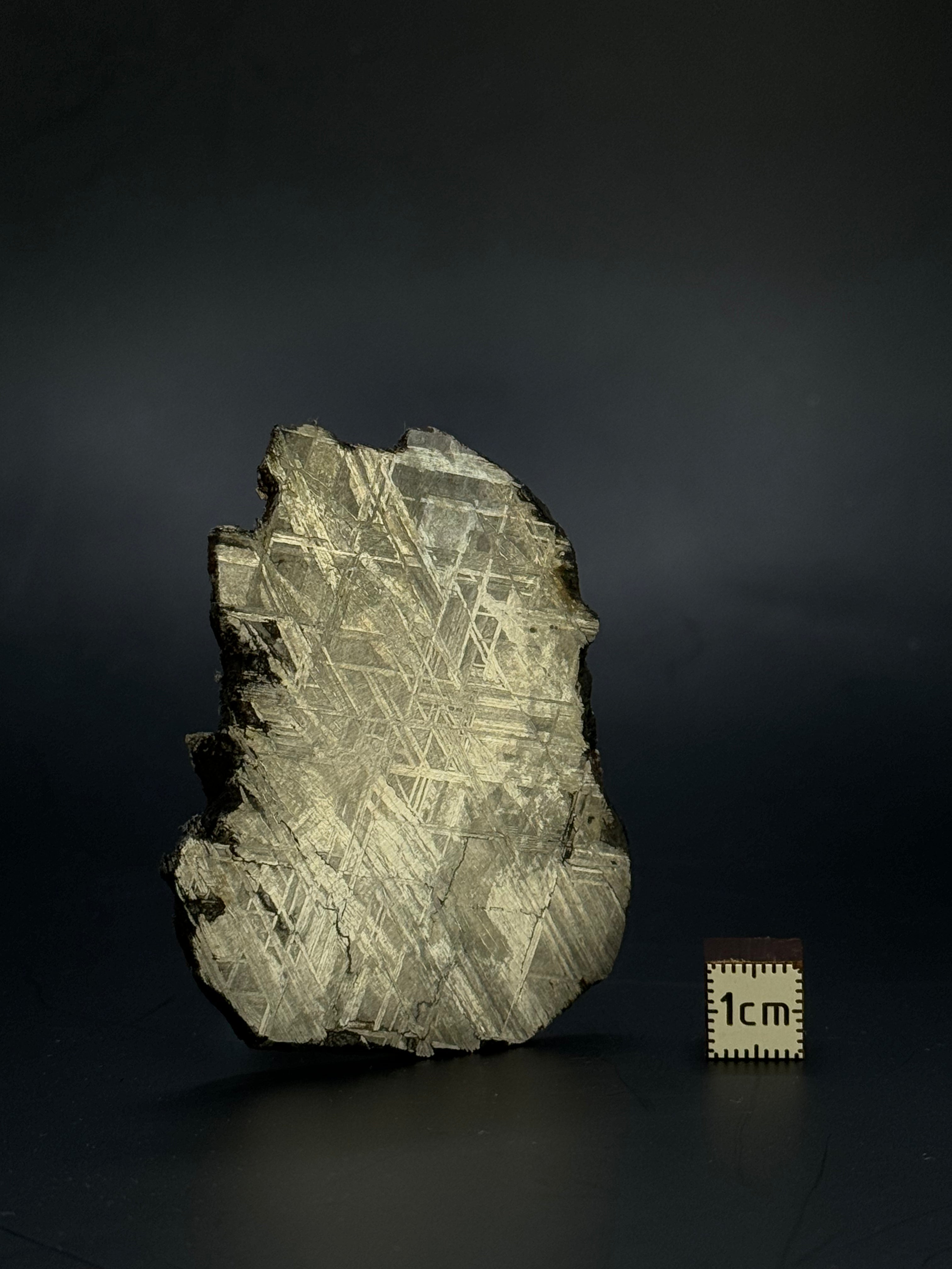 Muonionalusta meteorite, Sweden.  51,92 grams