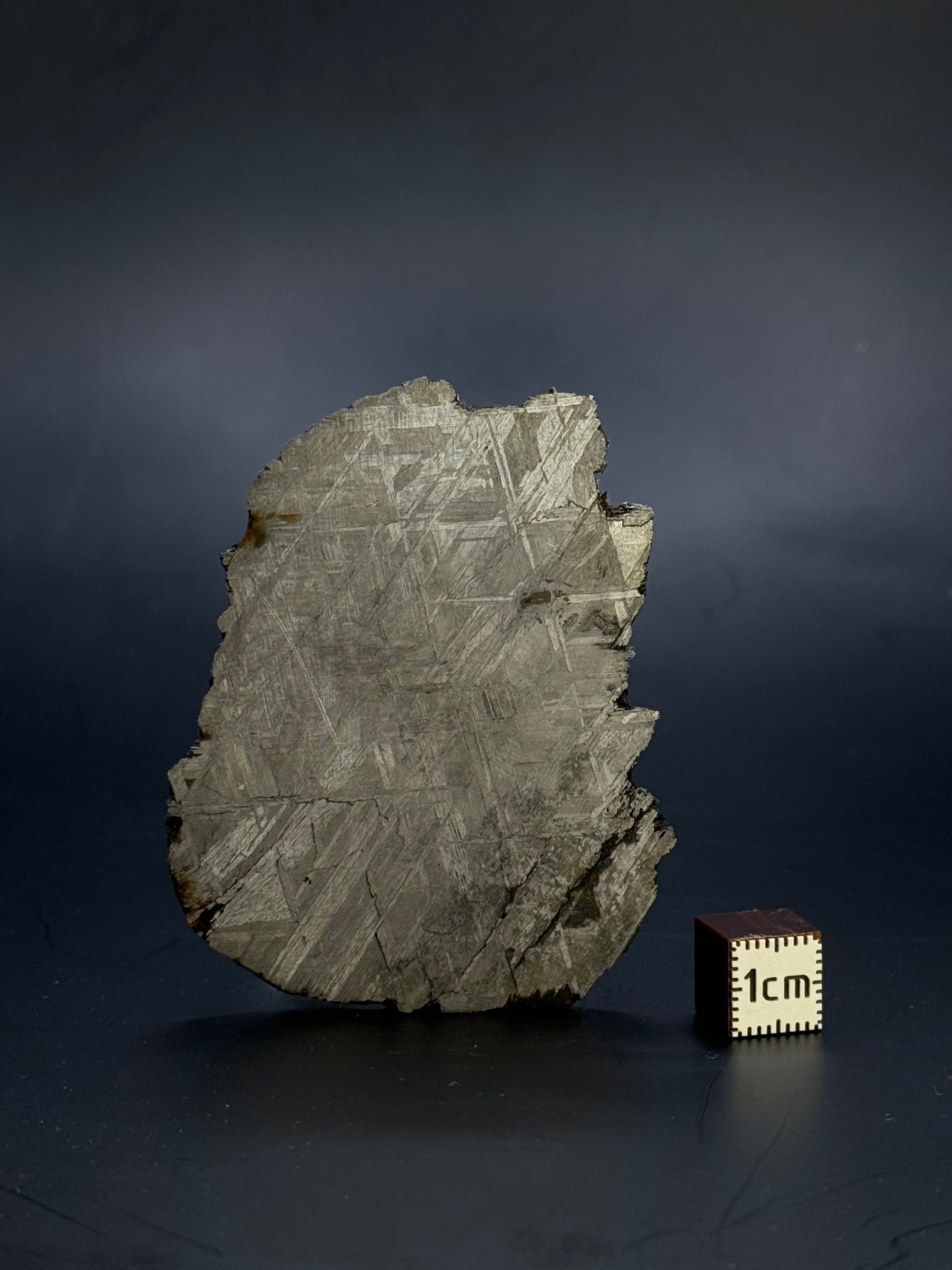 Muonionalusta meteorite, Sweden.  51,92 grams