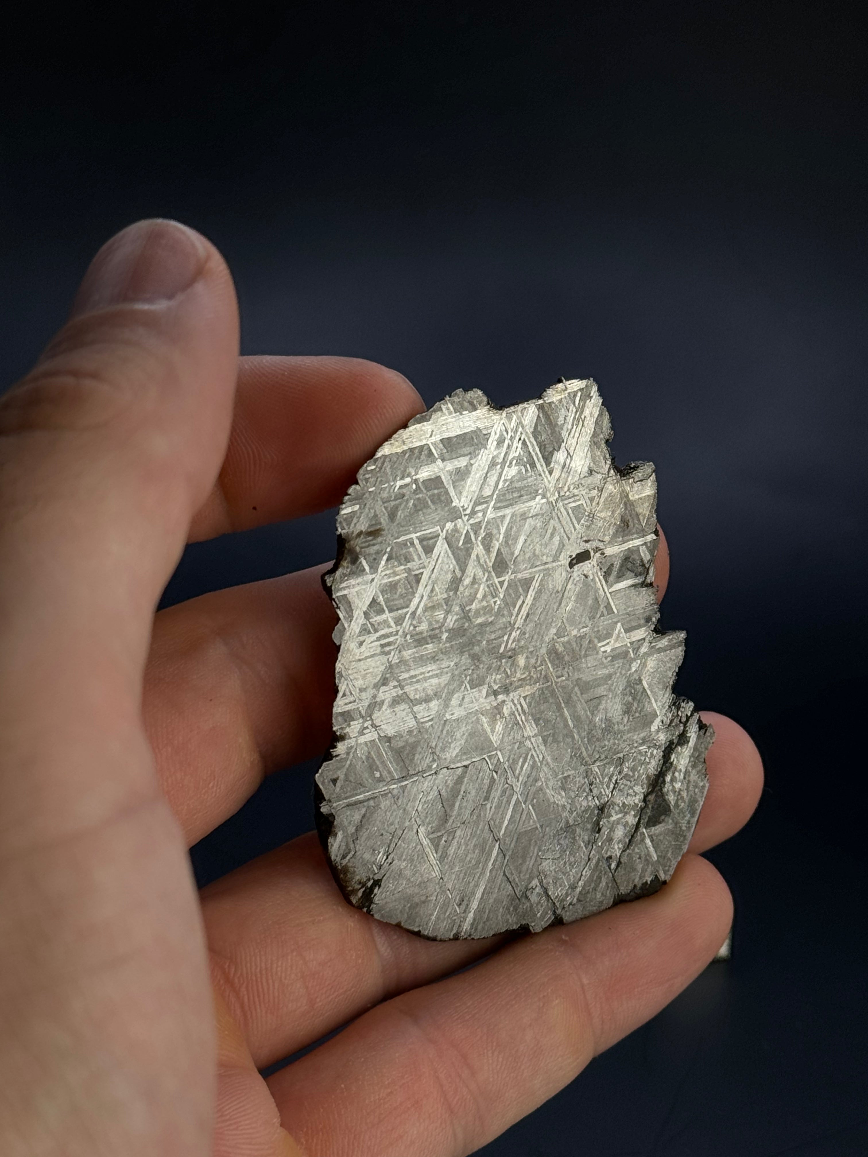 Muonionalusta meteorite, Sweden.  51,92 grams