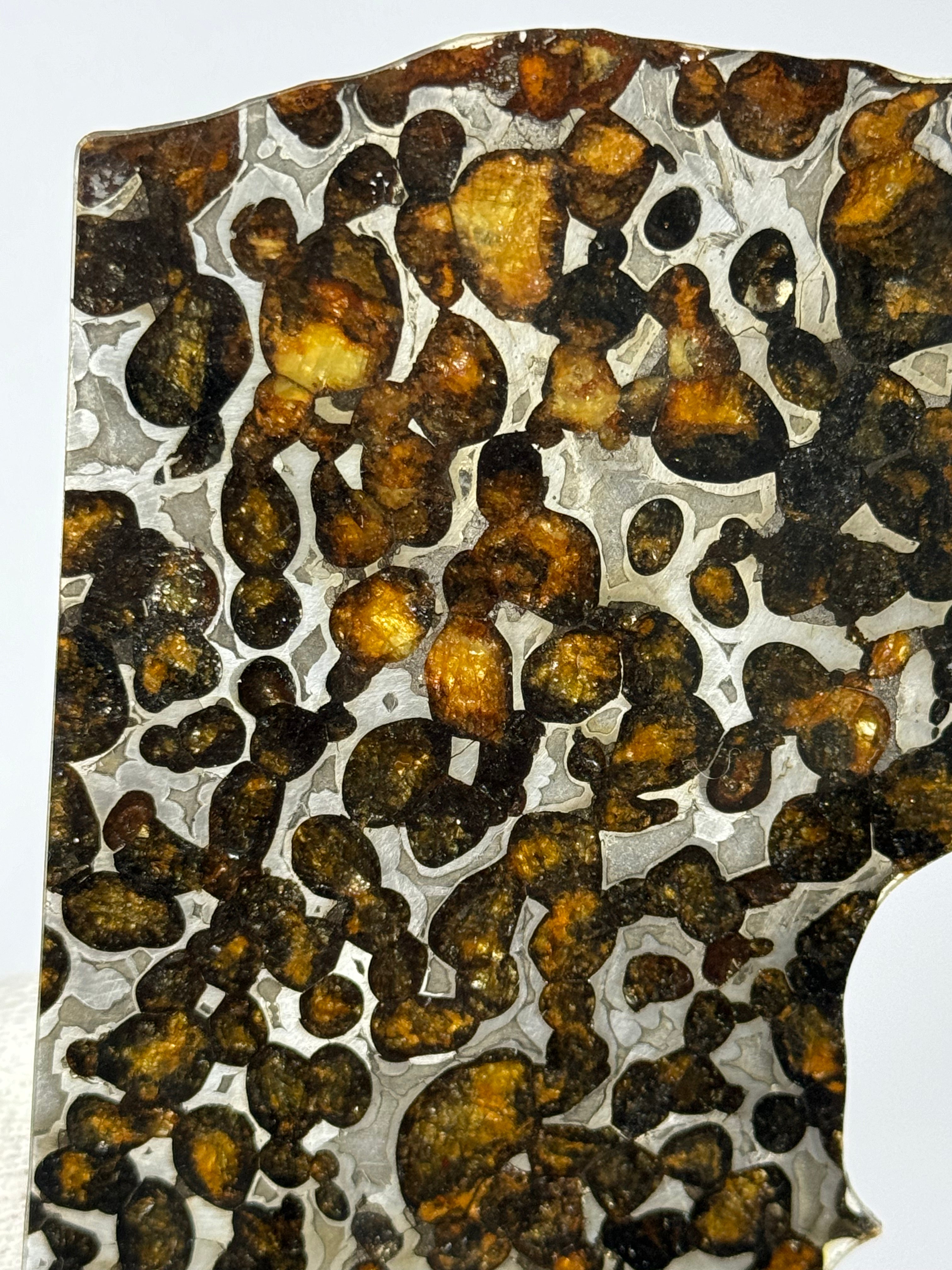 Sericho Meteorite, Kenya. 47,66 grams.